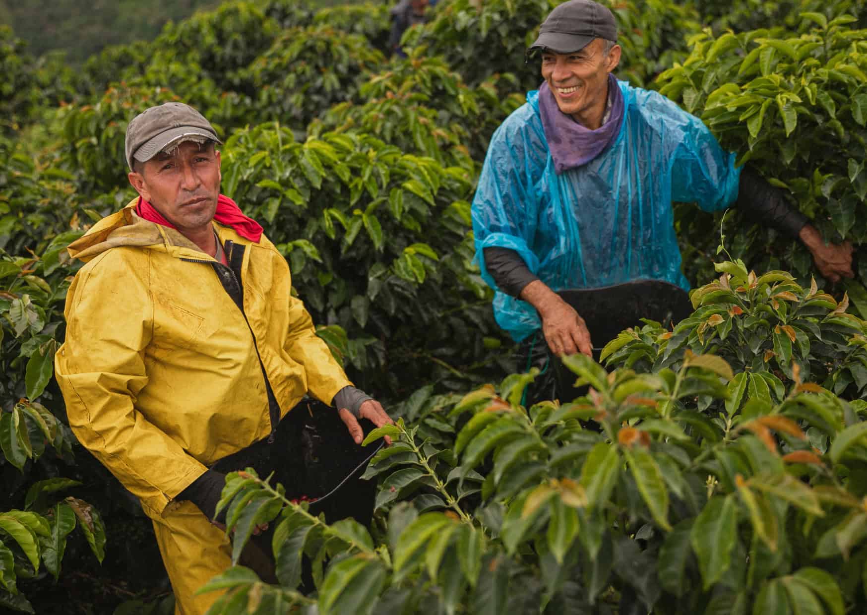 8 Wild Misconceptions Americans Have About Traveling in Colombia 6