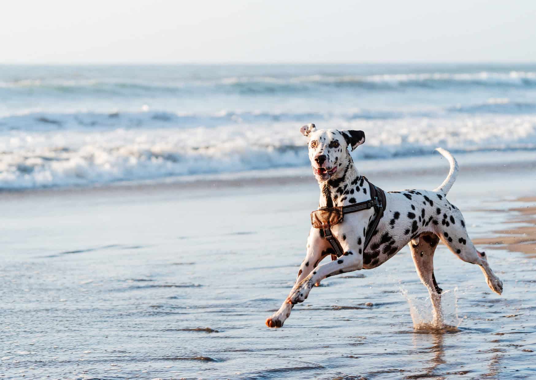 Beach Etiquette Wars 9 Coastal Customs That Divide European Countries 8