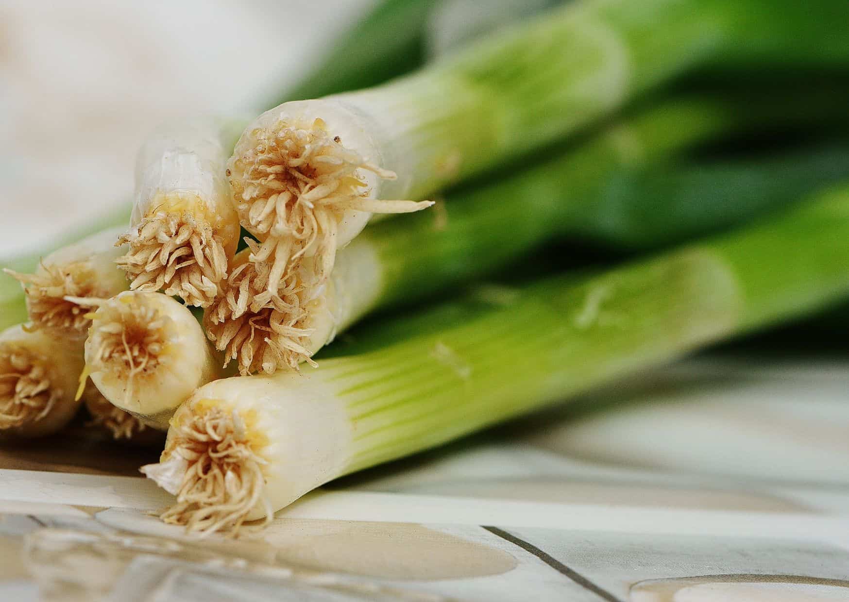 This Belgian Leek Tart Might Be Europe’s Best-kept Culinary Secret 2 How to Make Belgian Leek Tart (Flamiche aux Poireaux) – Recipe Guide
