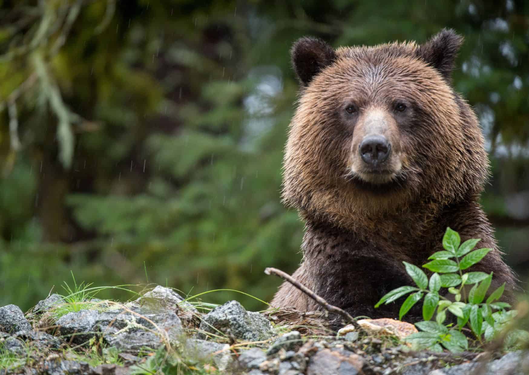 Don’t Do This in Canada: 20 Things Not to Do in Canada