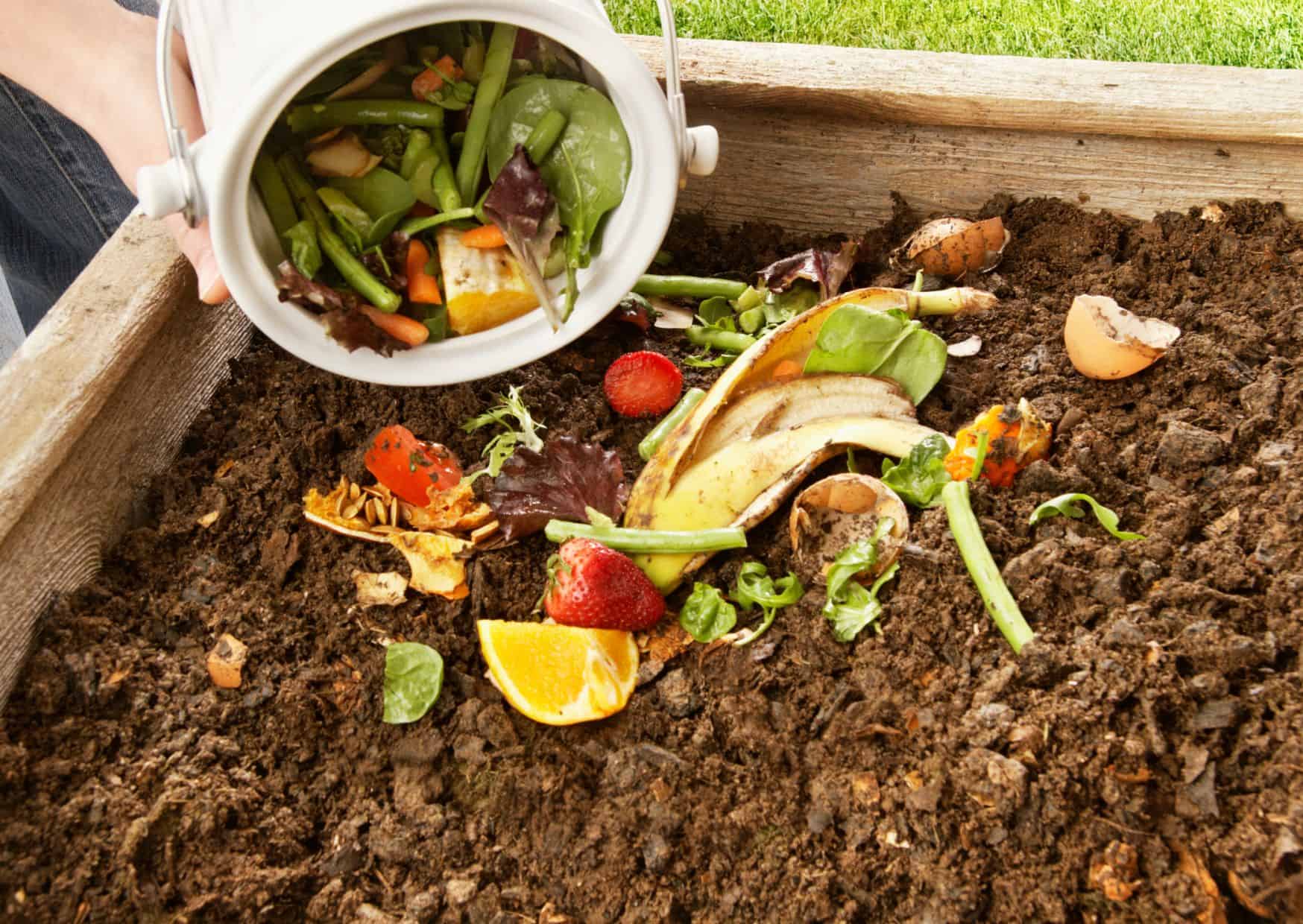 20 Unspoken Rules of Canadian Life That Tourists Often Don’t Understand