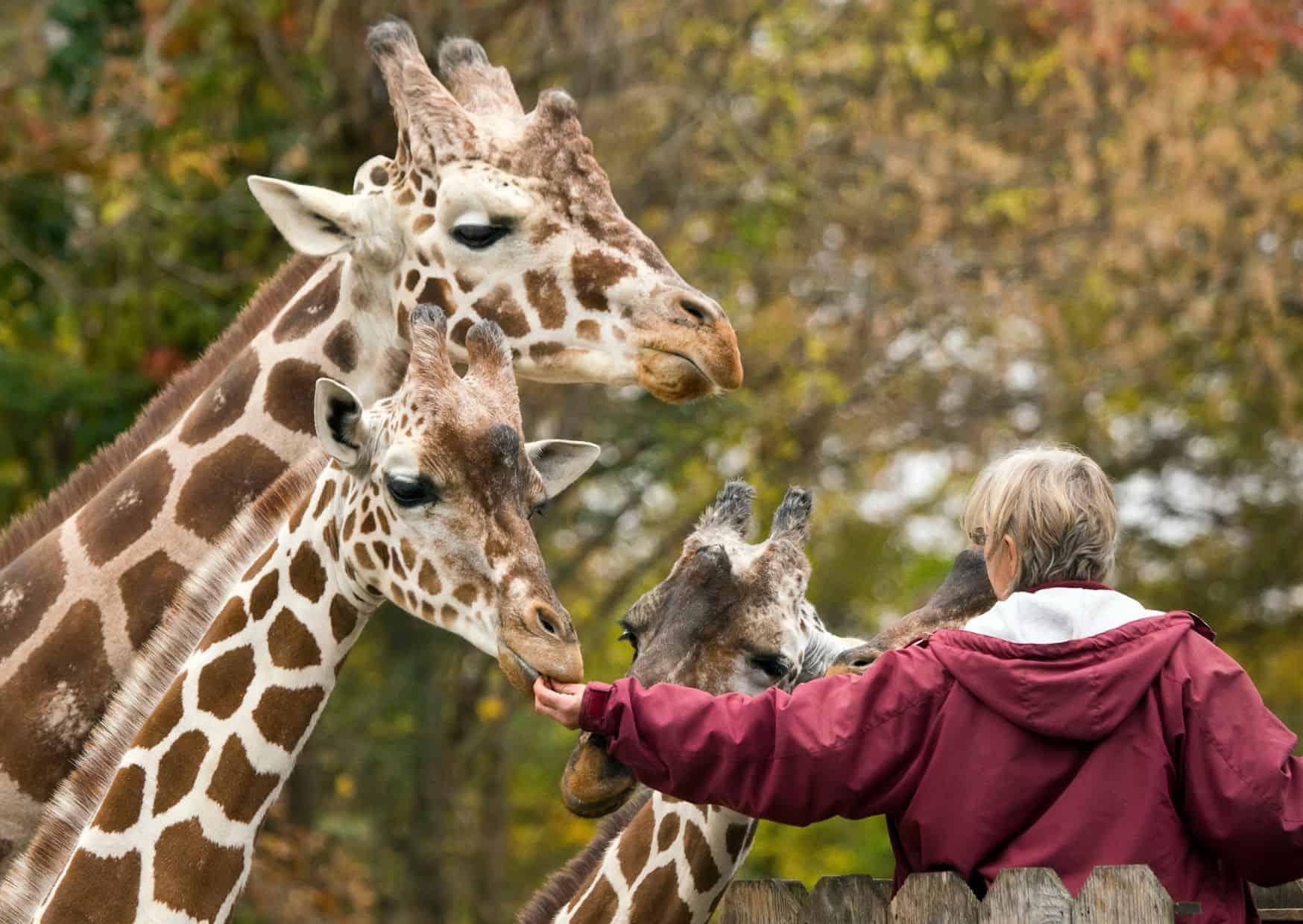How To Behave As A Tourist: The Secret Etiquette of Visiting Famous Landmarks (What Locals Hate)