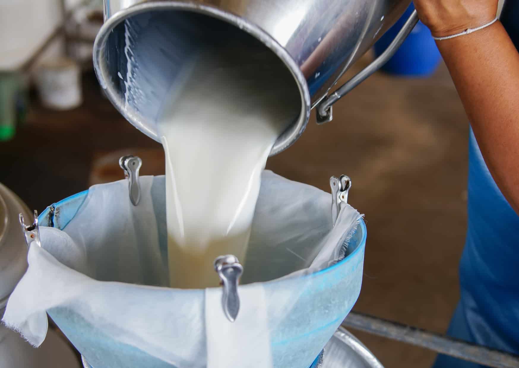 11 European Cheese Rules That Would Shock Americans 11