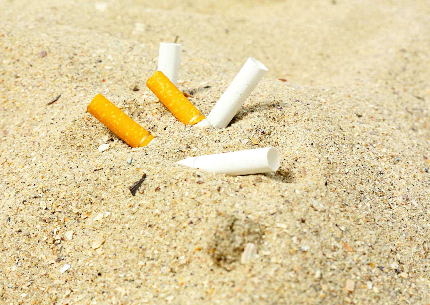 Beach Behaviors That Make Locals Avoid You in Italy