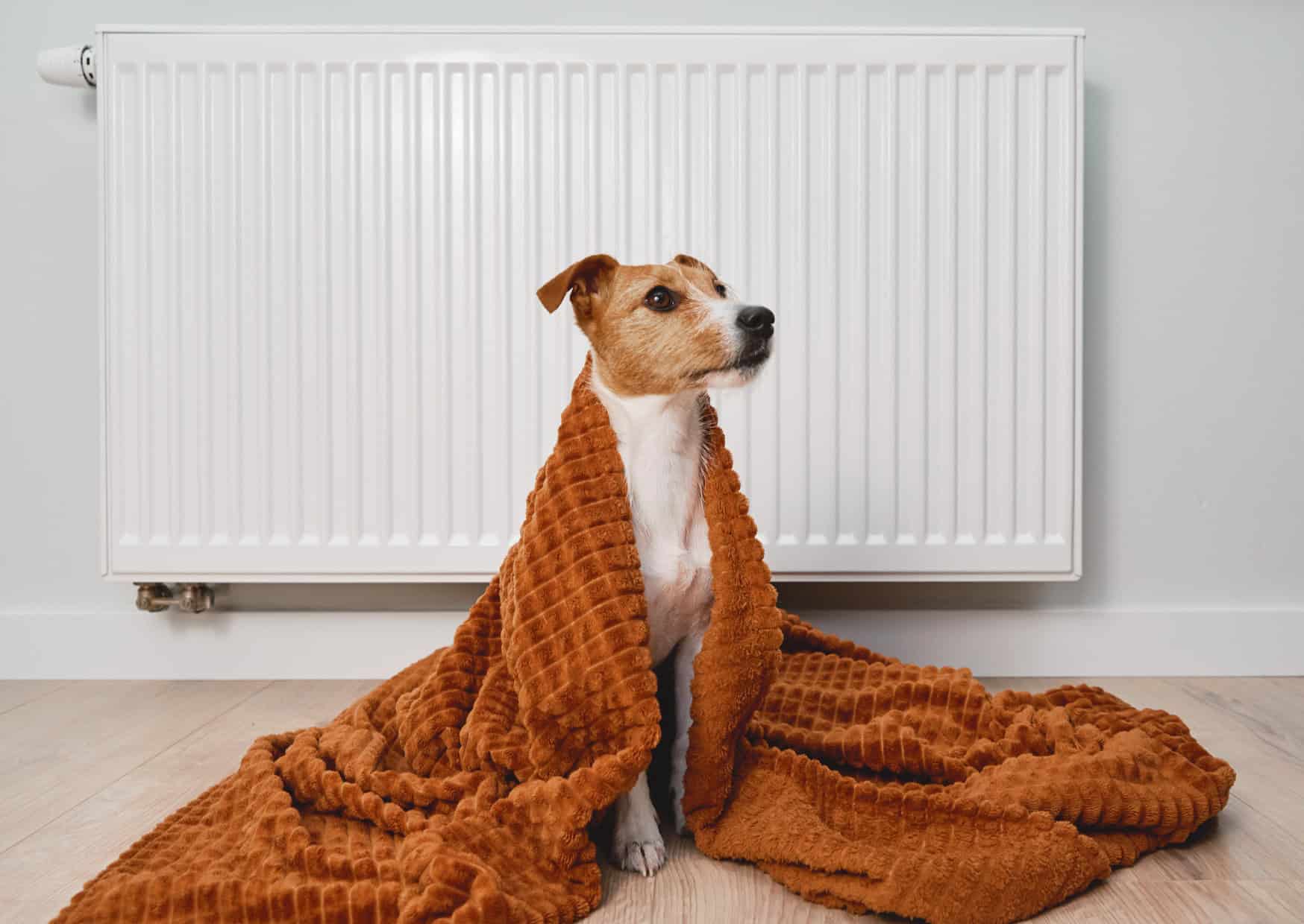 Home Features Europeans Consider Essential 5