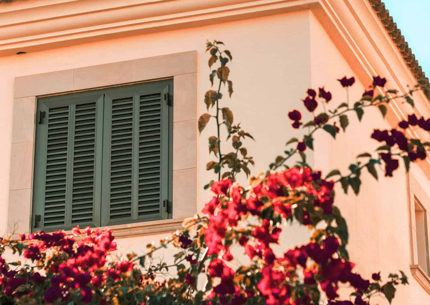 Home Features Europeans Consider Essential