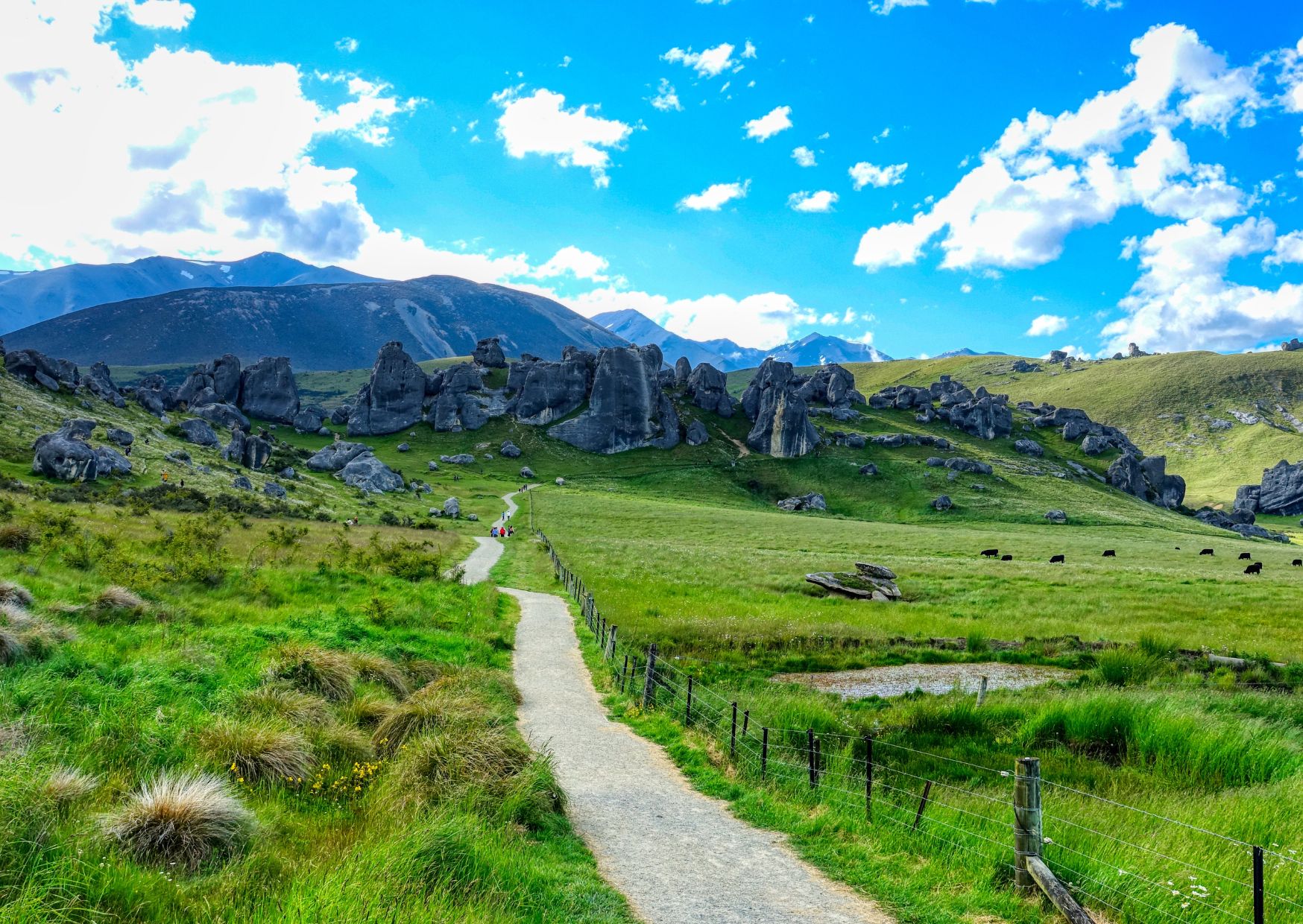 10 Countries Leading the Charge in Climate Solutions