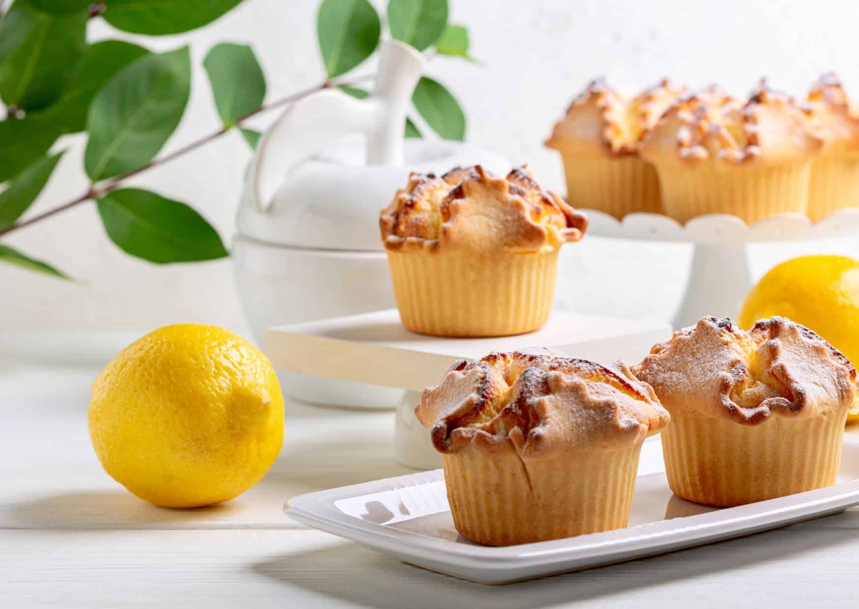 7 Easy Easter Recipes to Cook at Home (Recipe Guide) 8 Lemon Ricotta Easter Cake