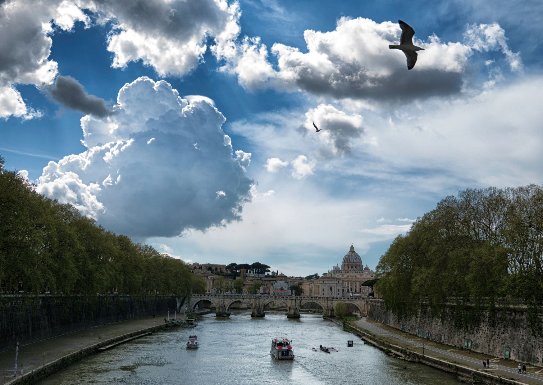 Roman Forum and Palatine Hill 4