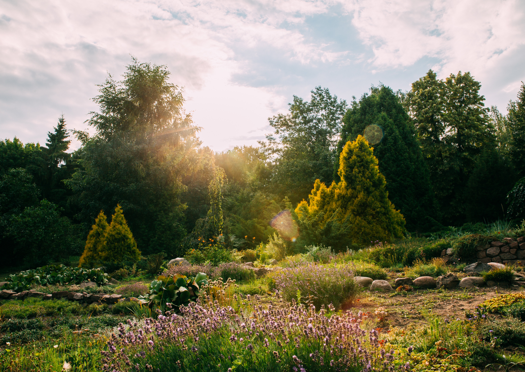 The Morning Light Trick Mediterranean People Use for Better Sleep Cycles 1 The Morning Light Trick Mediterranean People Use for Better Sleep Cycles 5