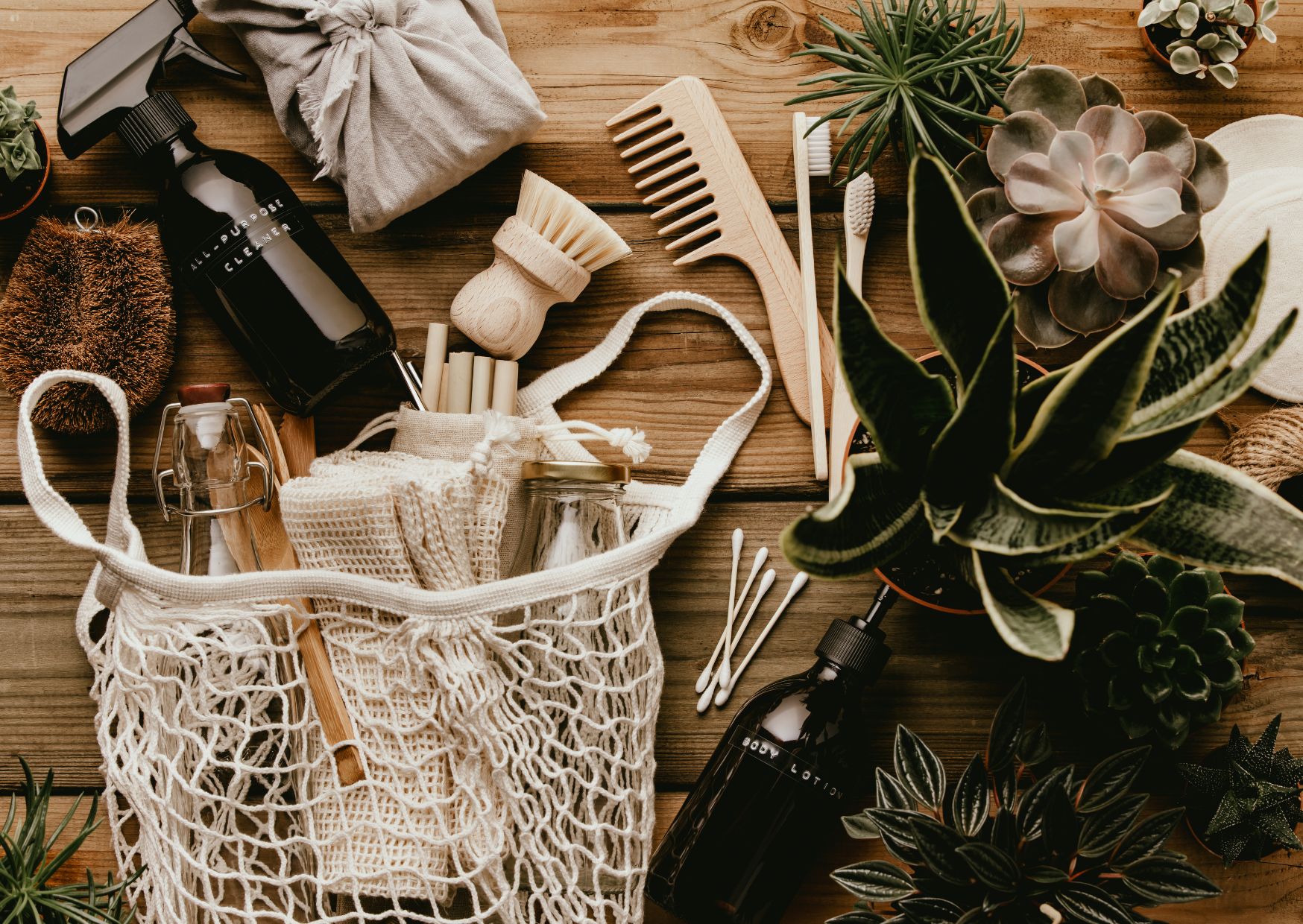 How to Make Your Next Vacation Eco-Friendly (Without Sacrificing Fun)