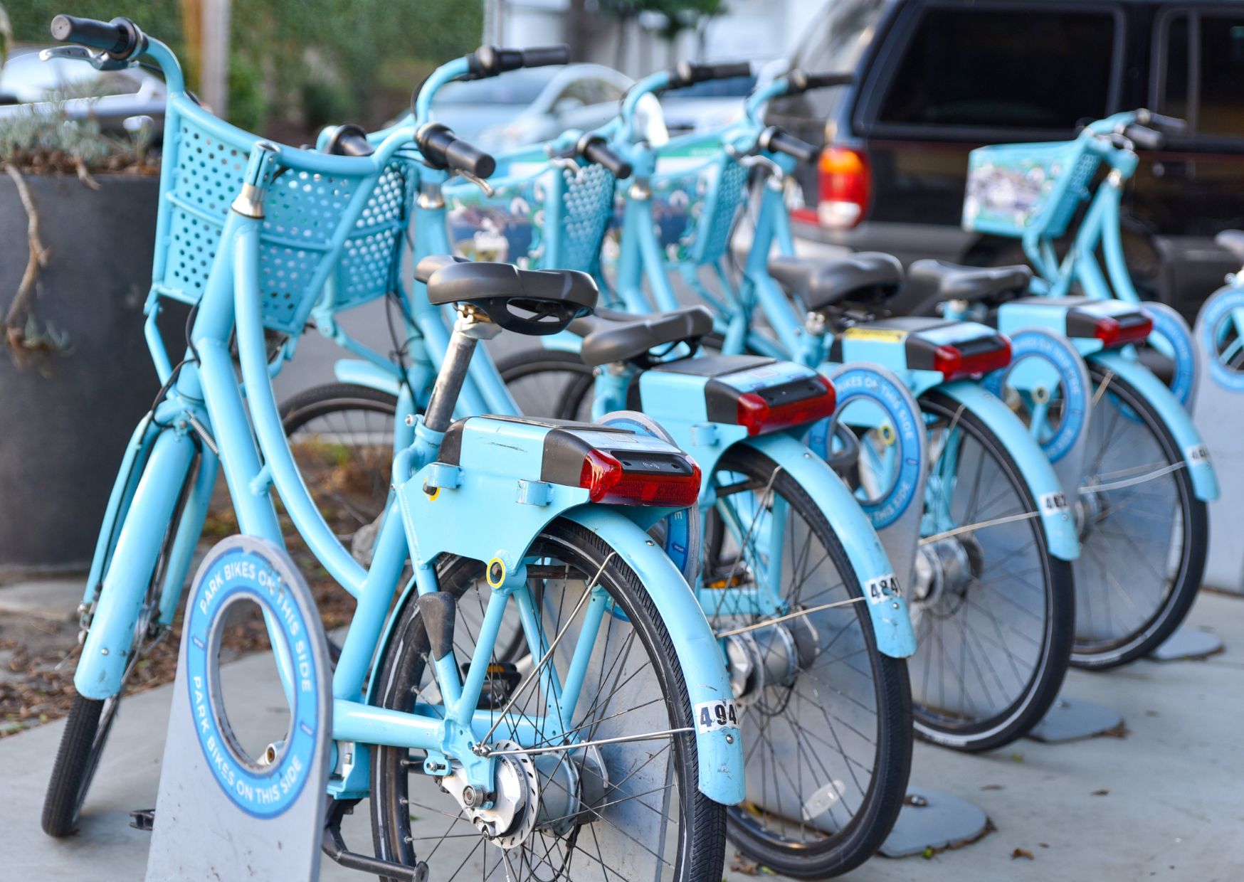 How to Make Your Next Vacation Eco-Friendly (Without Sacrificing Fun)