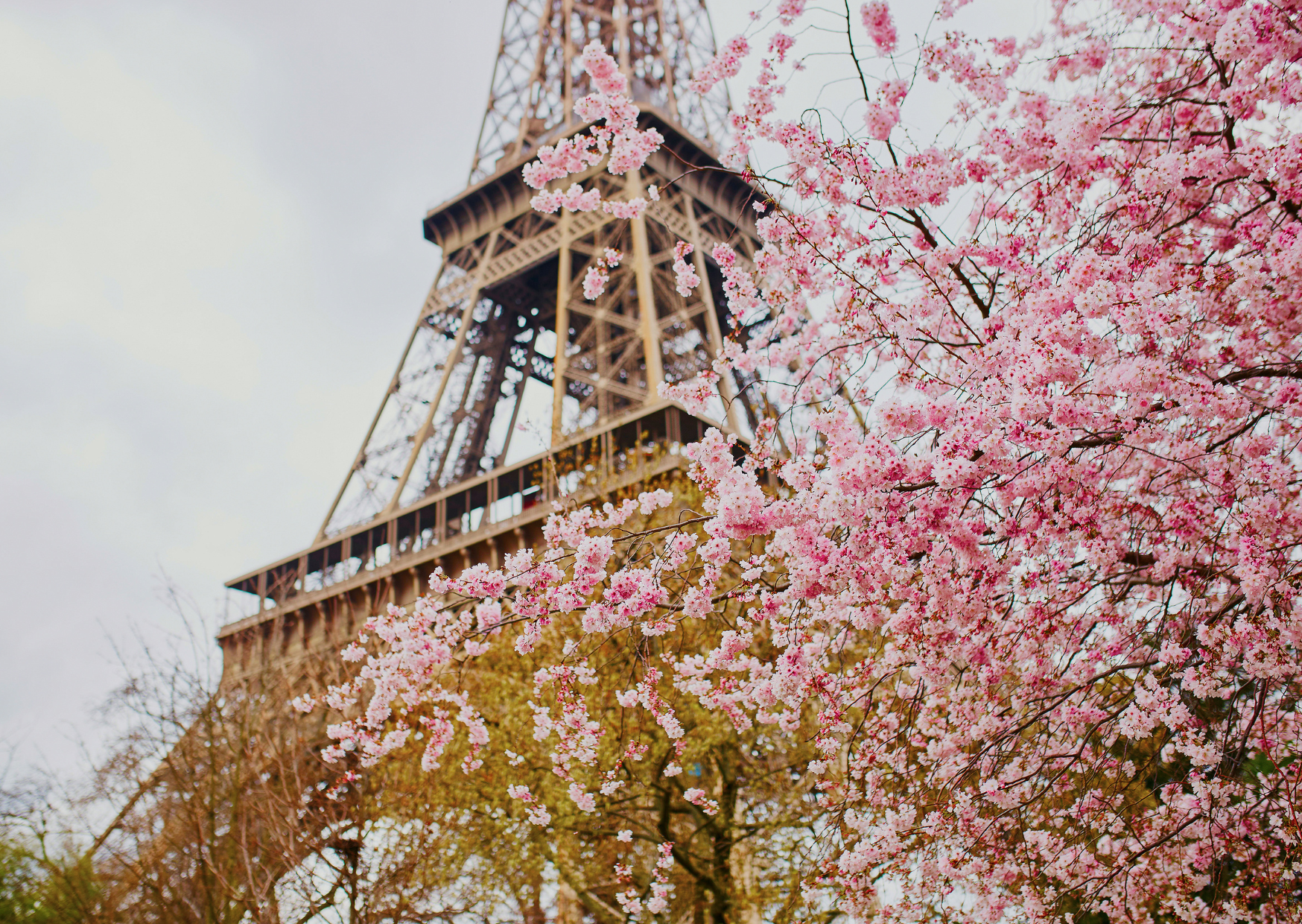 French Visa Program That Lets Americans Stay Indefinitely