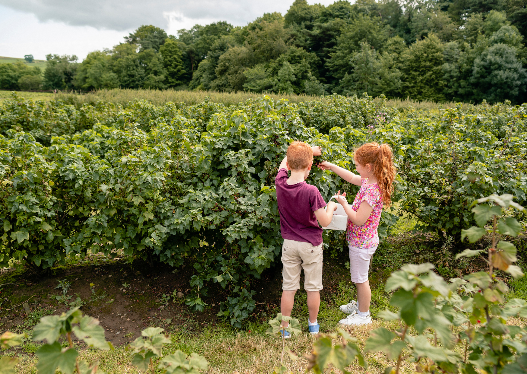 School Rule Italian Children Follow 6