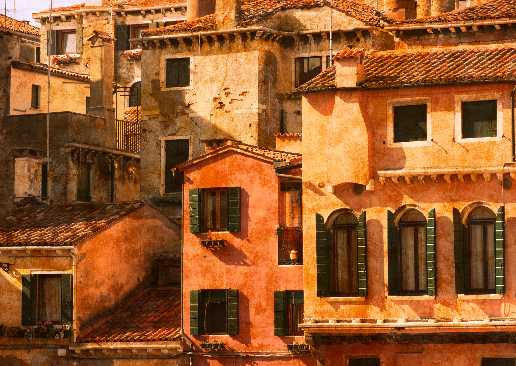 Summer Adaptation Italians Make 2