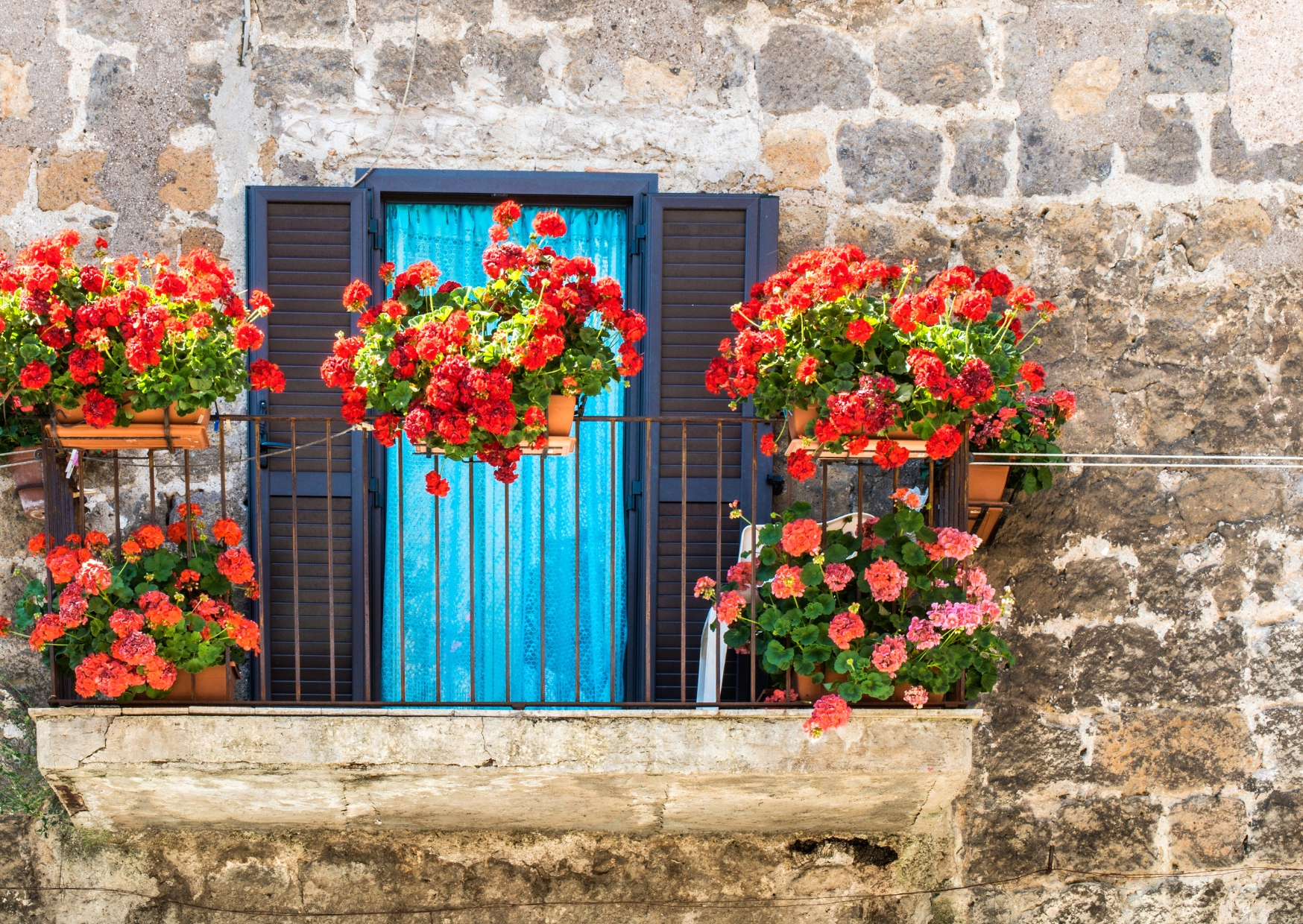 Summer Adaptation Italians Make 3