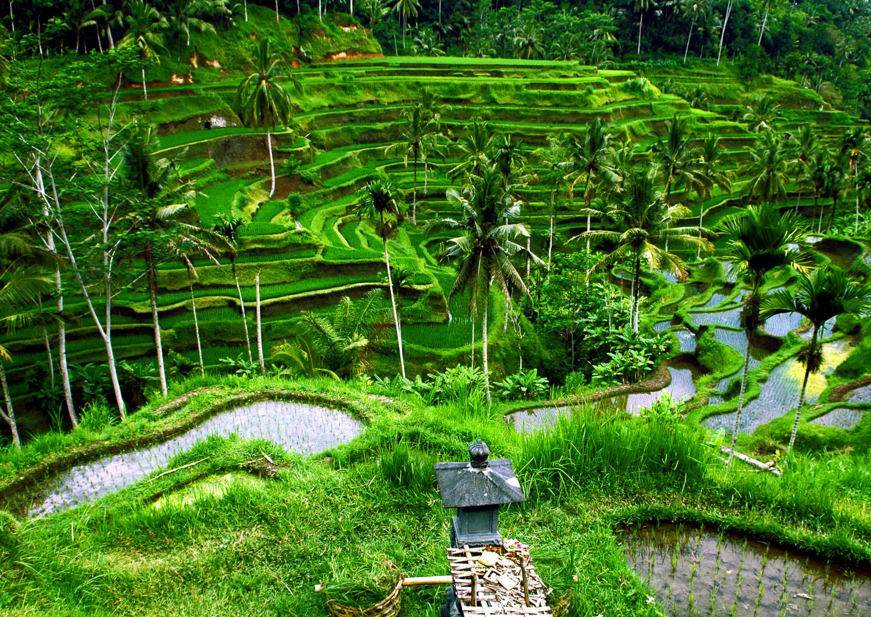 How I Built a Remote Work Life in Paradise for Just $1,200 a Month 1 How I Work Remotely While Living in Paradise for $1,200 a Month