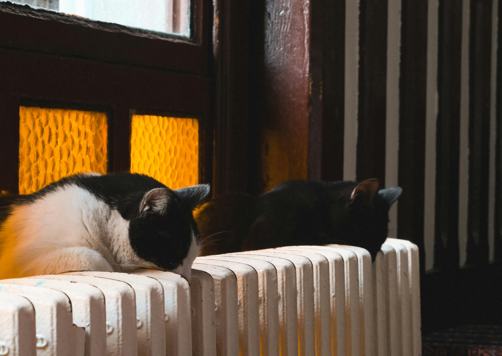 Chilly or Cheap? The Surprising Reason Europeans Keep Their Homes Cooler Than Americans Would Ever Tolerate 5 Why Europeans Keep Their Homes at This Temperature Americans Would Find Unbearable 3