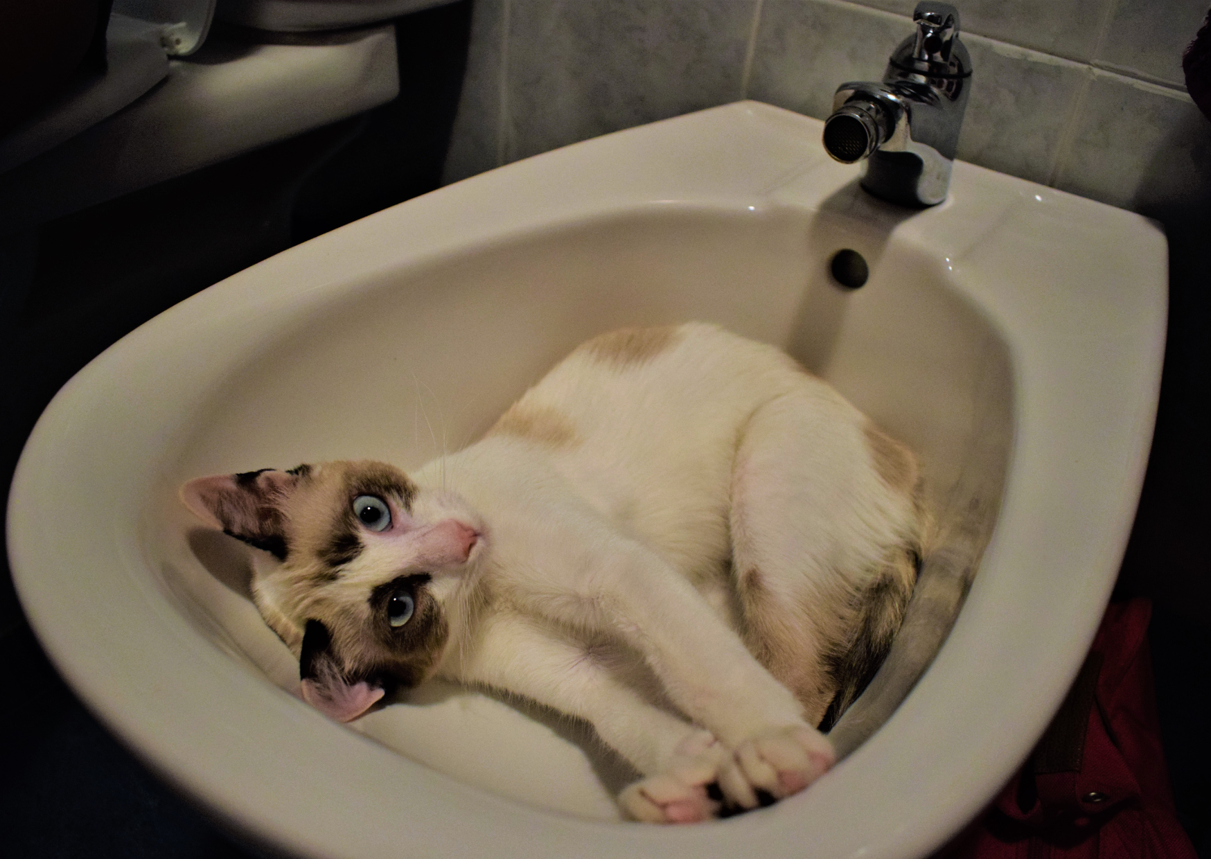 Bathroom Habit Spanish People Follow That Americans Find Deeply Revolting 3