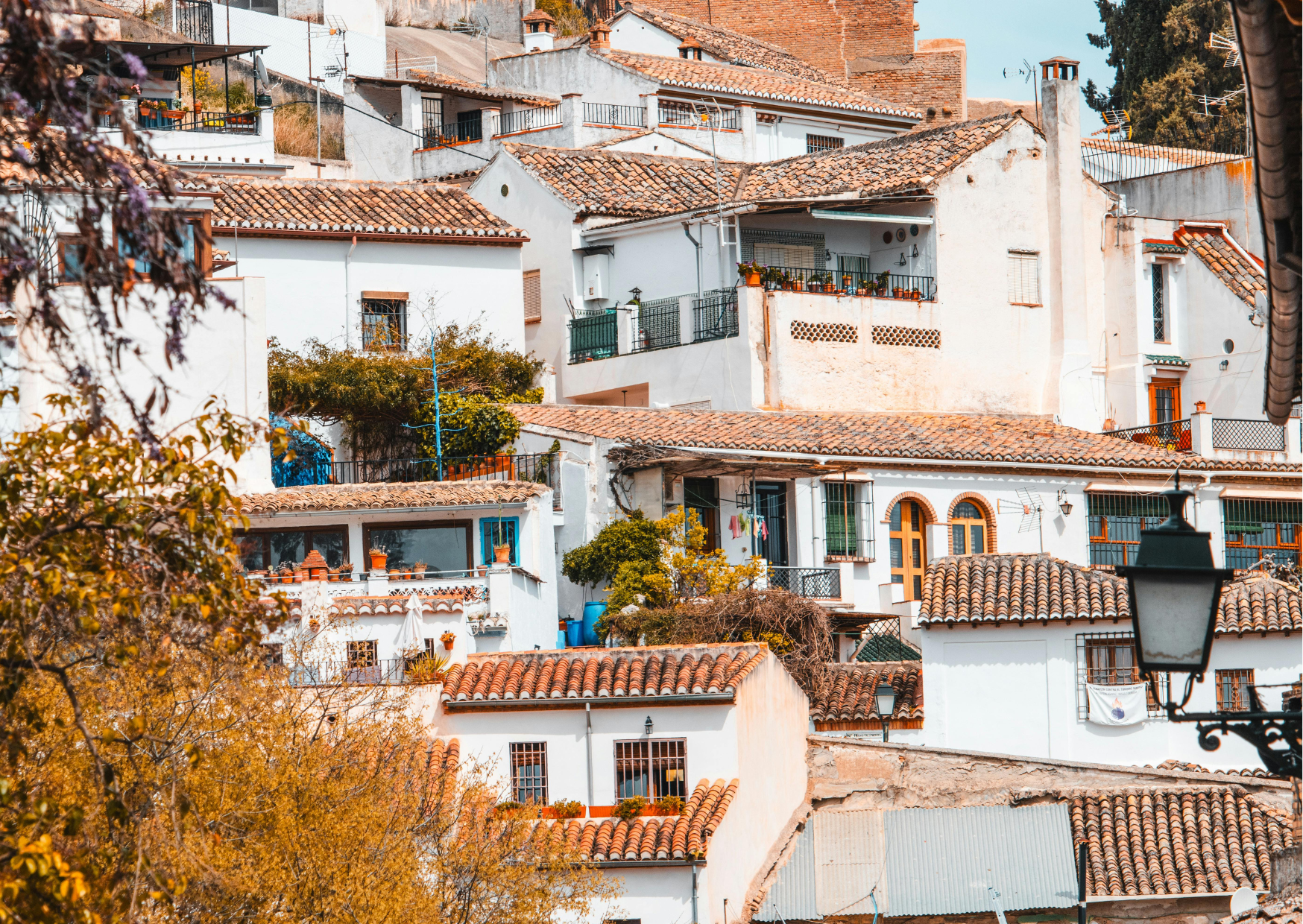 Physical Tolerance Europeans Have 7