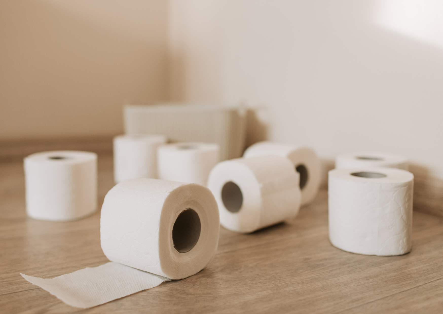 Toilet Paper Europeans Use 5