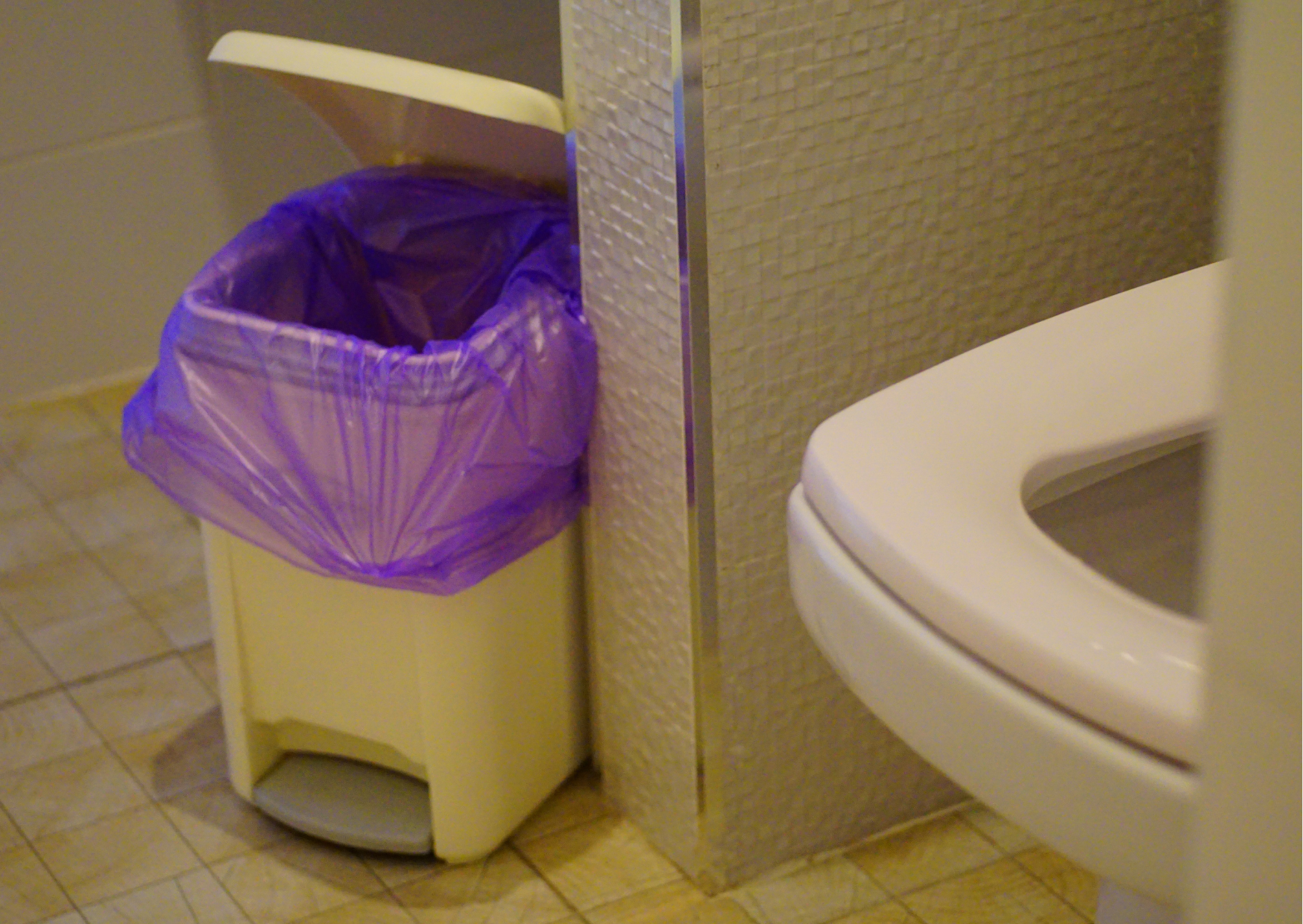 Toilet Paper Rule Italians Follow 7