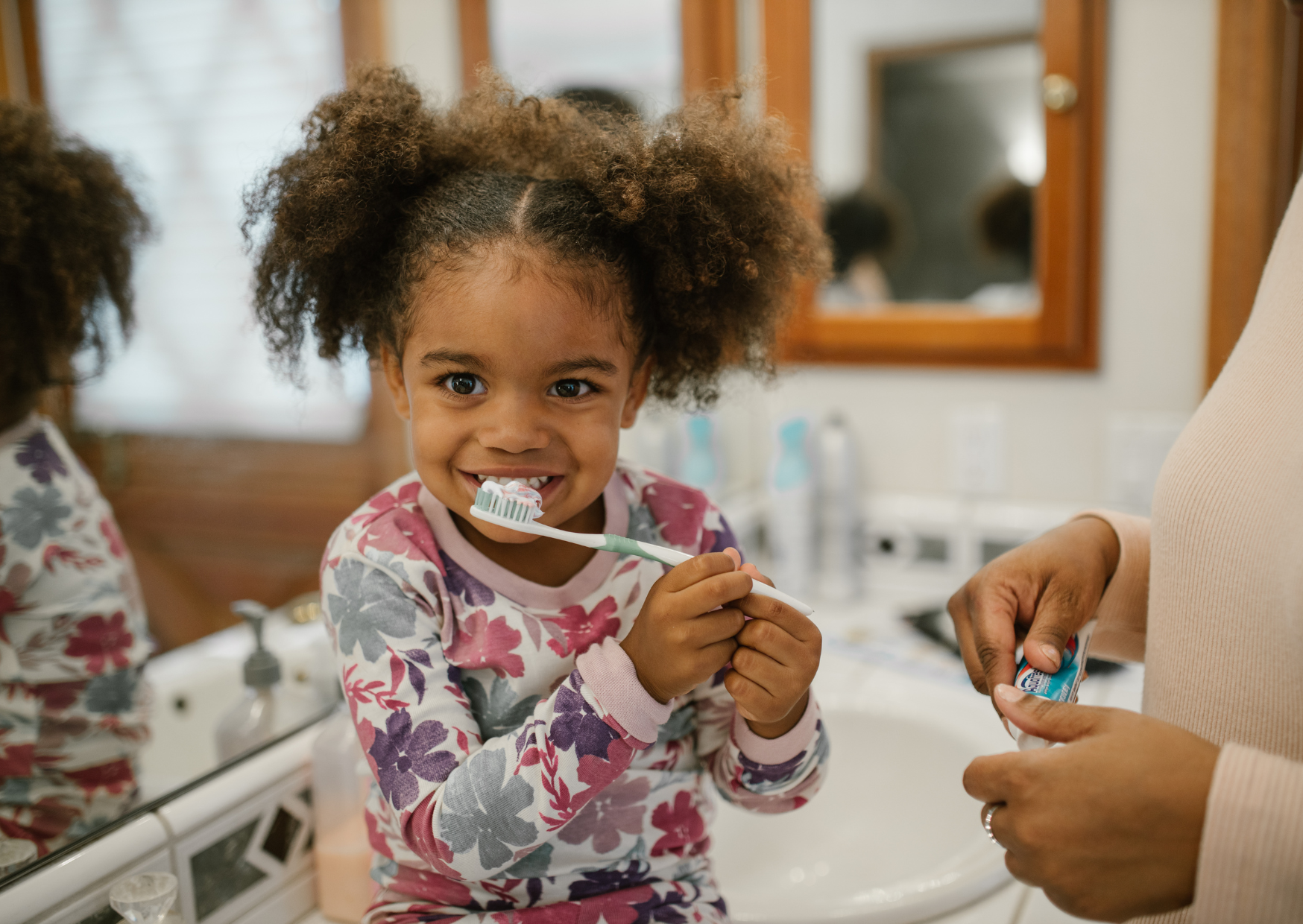 Toothbrush Rule Germans Follow 3