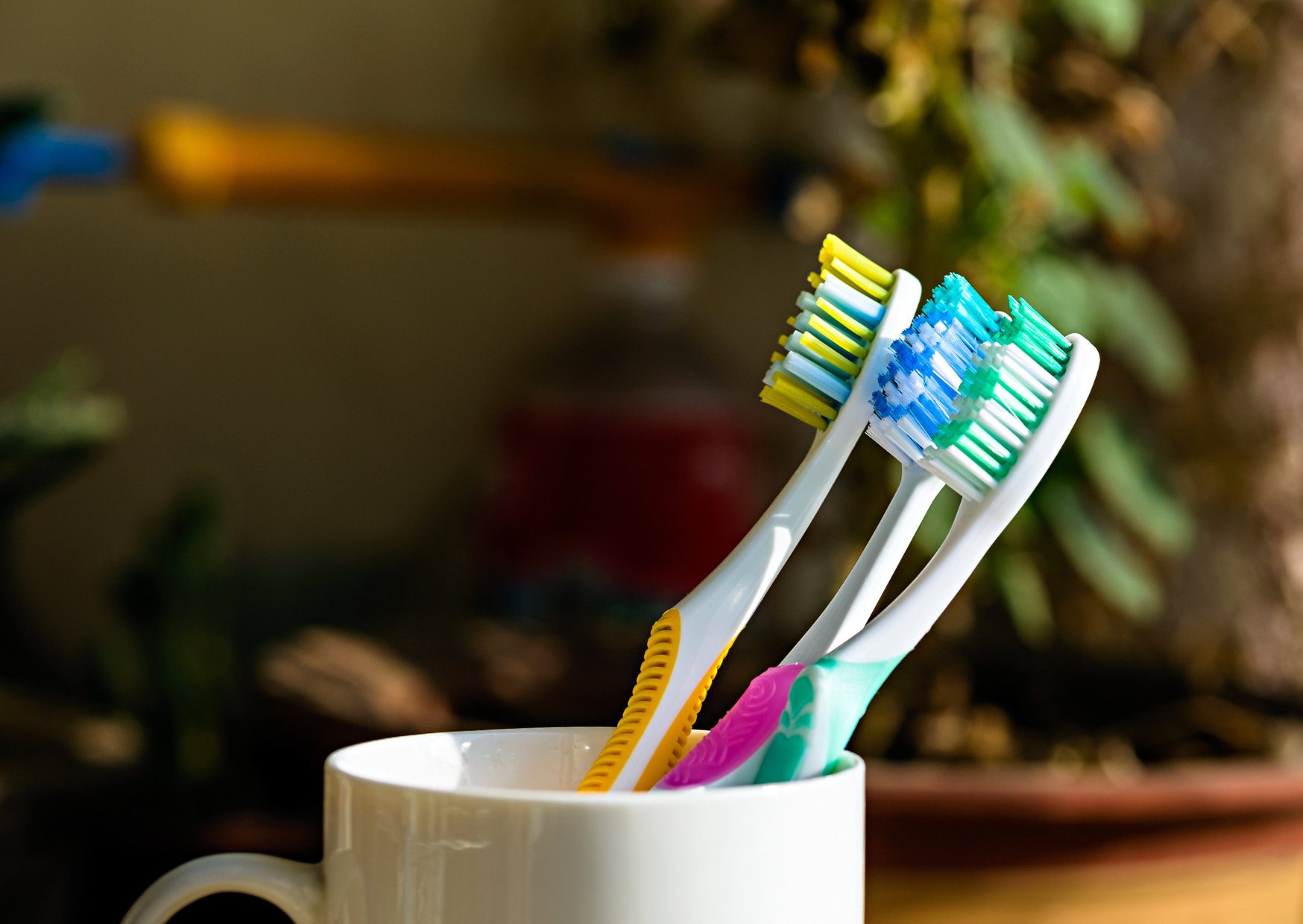 Toothbrush Rule Germans Follow 4
