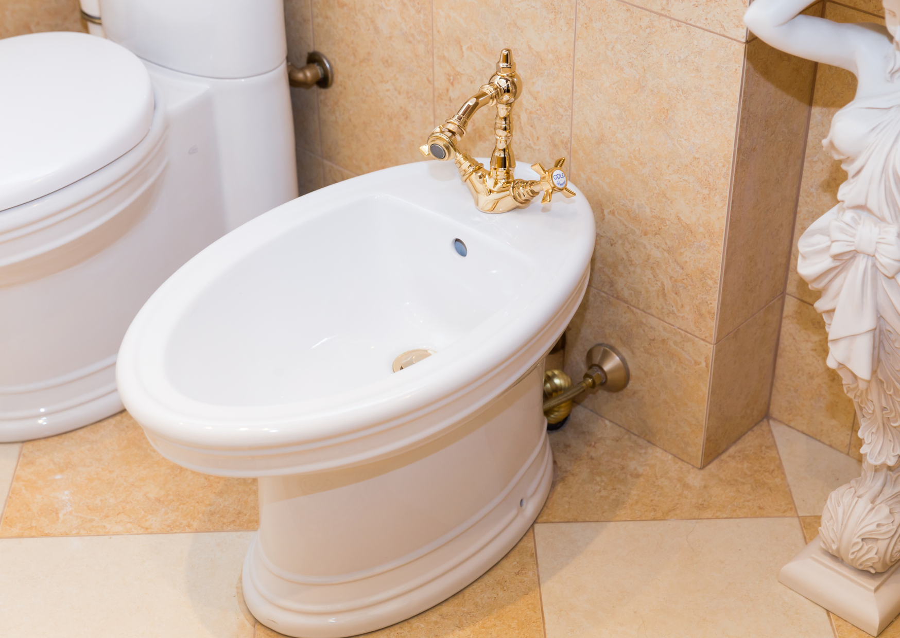 The European Shower Habit That Americans Call Disgusting Until They Try It 2 Bidet Temperature Setting French Prefer 6