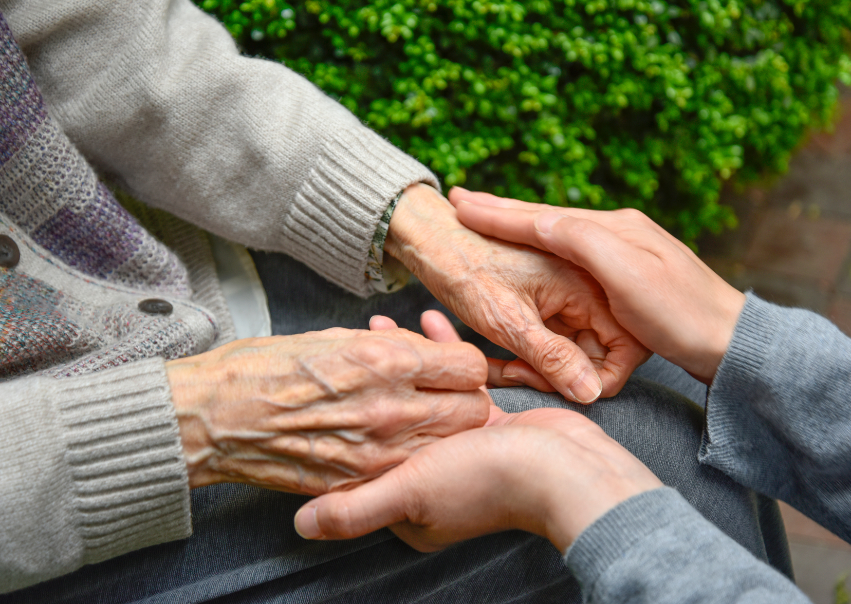 The Dementia Warning Sign Europeans Check Daily That Americans Miss Until Too Late 5 Dementia 3