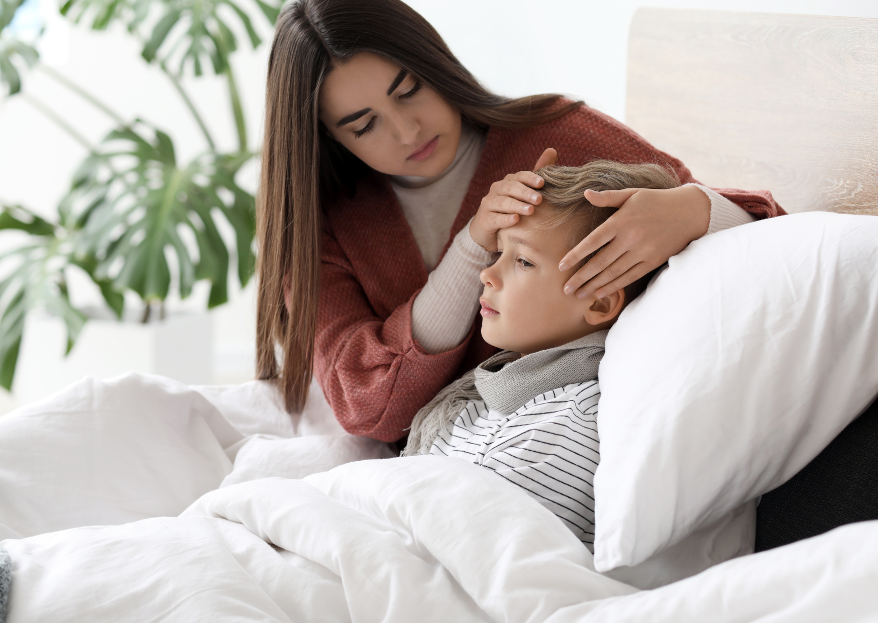 Fever Remedy Europeans Use 2