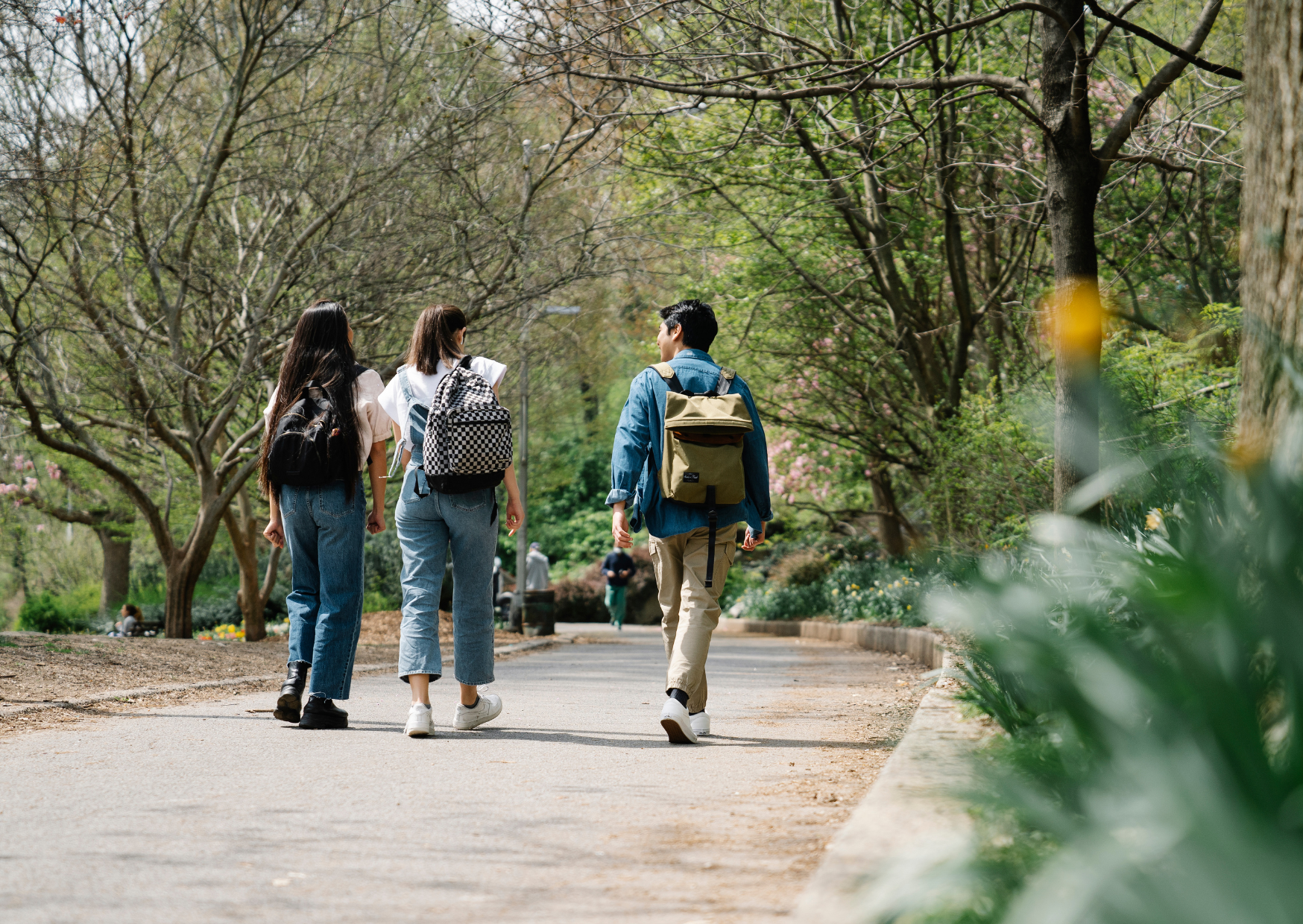 The Flat Stomach Secret Italian Women Keep That American Trainers Charge Fortunes For 1 Flat Stomach Secret Italian Women Keep 4