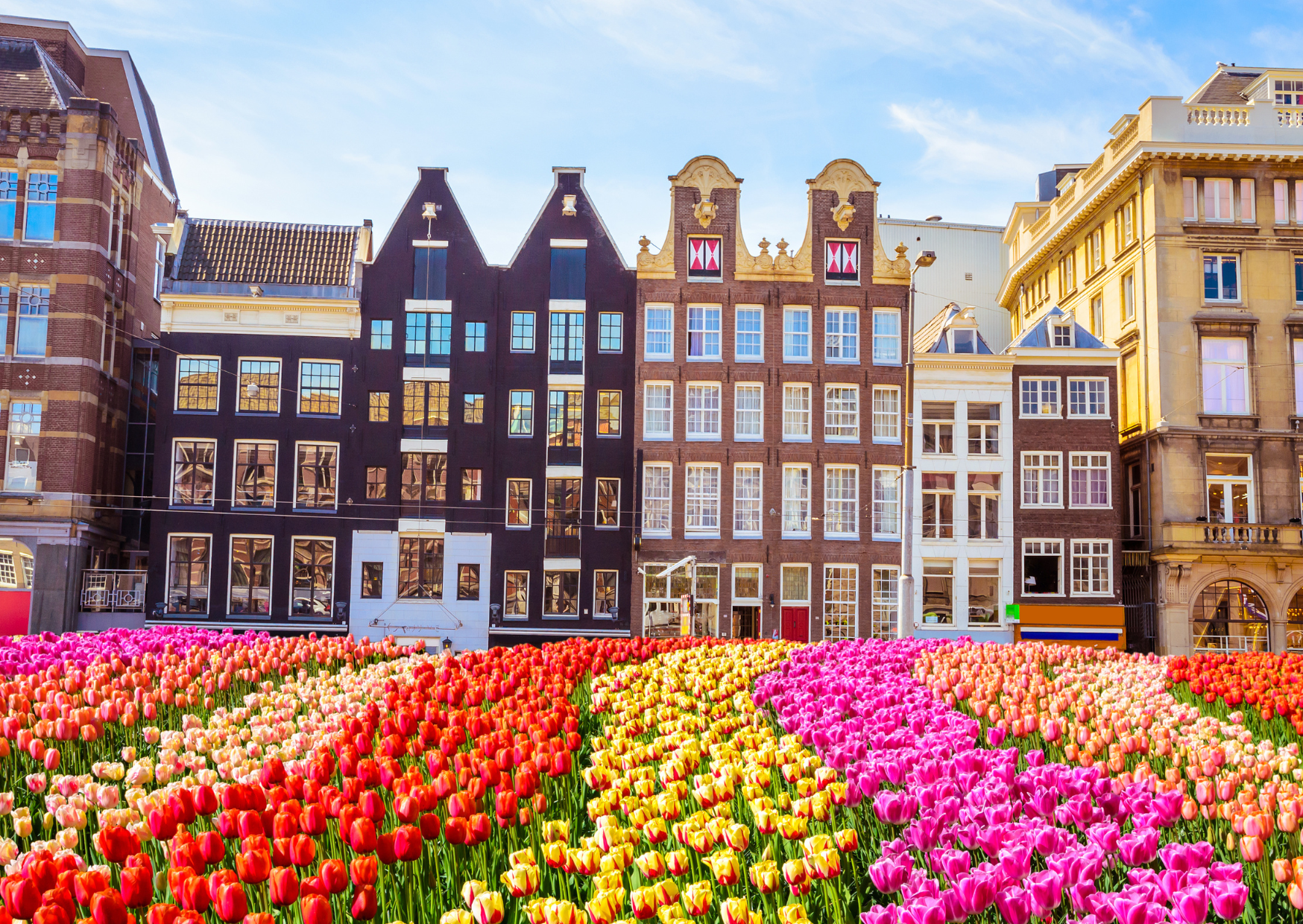 Photo Ban in Amsterdam 3