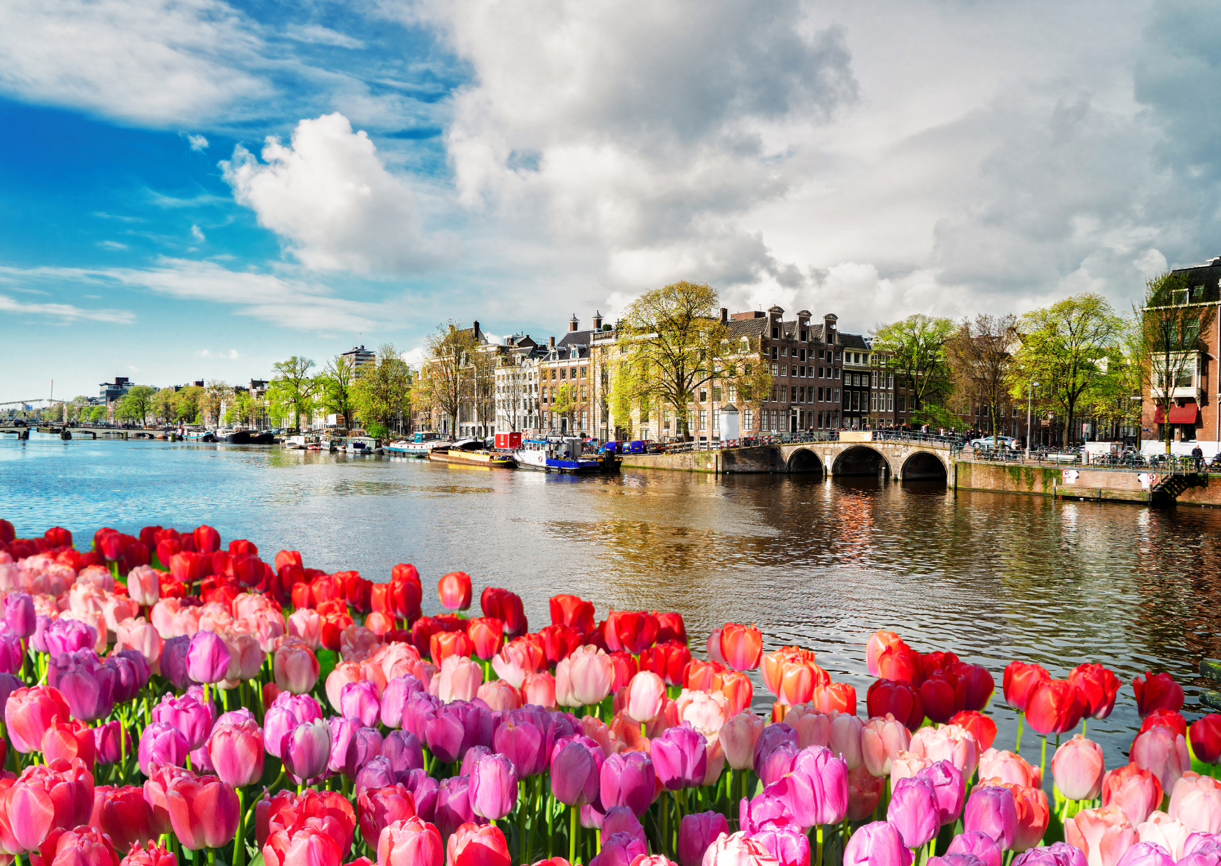 Photo Ban in Amsterdam 5