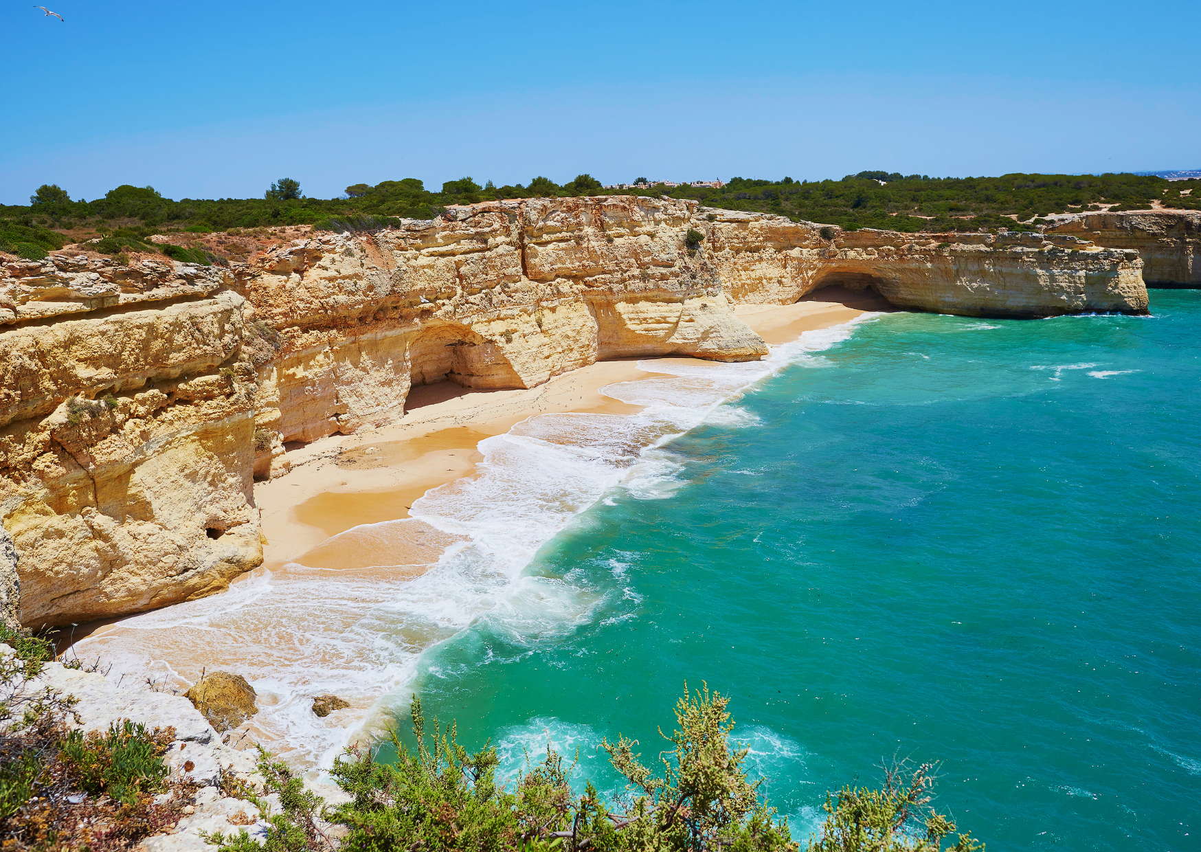 The Portuguese Beach Rule American Tourists Always Break 1 Portuguese Beaches