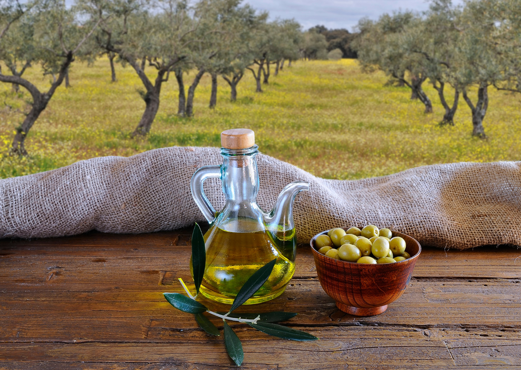 Spanish Grandmothers Cook With This Oil 2