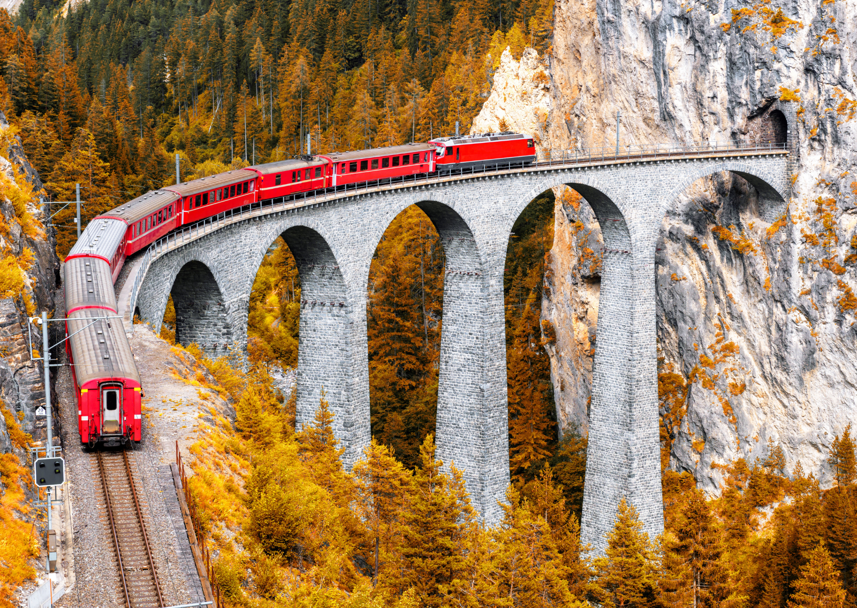 Fall Flight Pattern 2