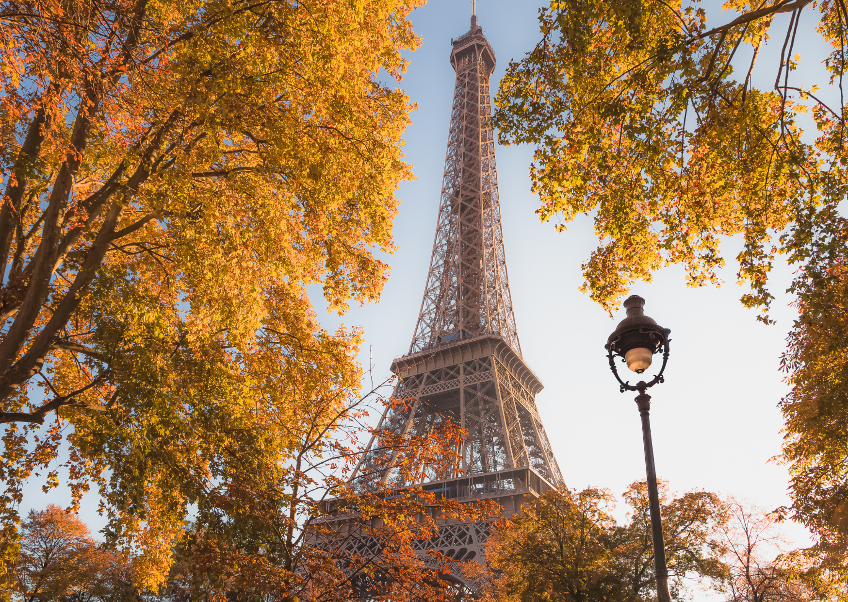 Fall Flight Pattern 3