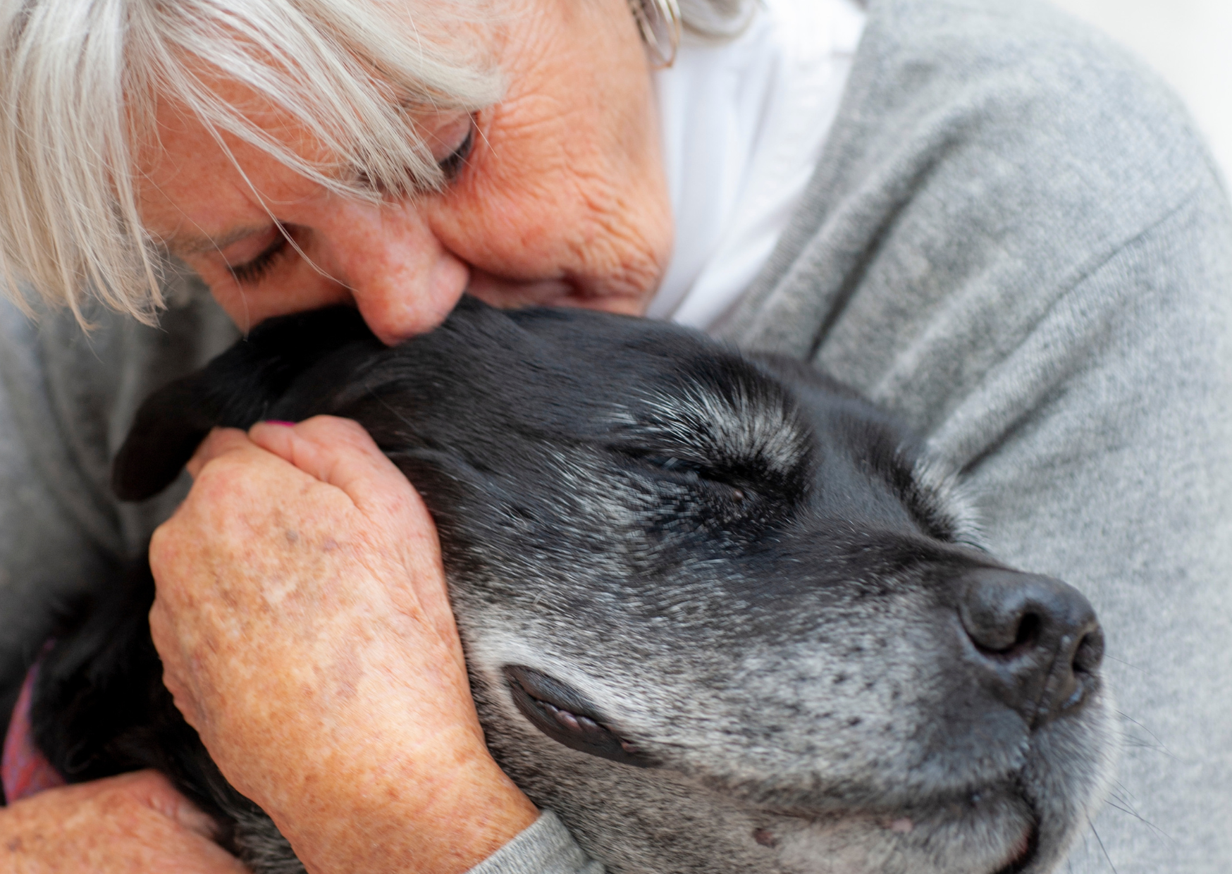 80 year old italians 4