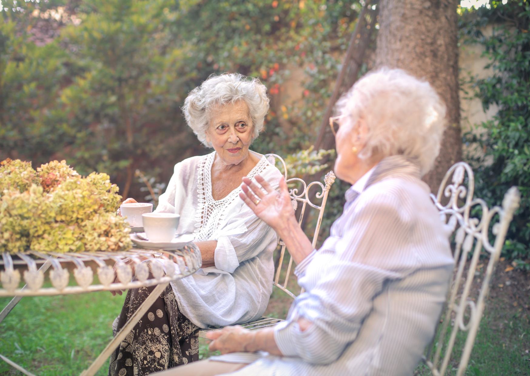 Italian grandmothers 5