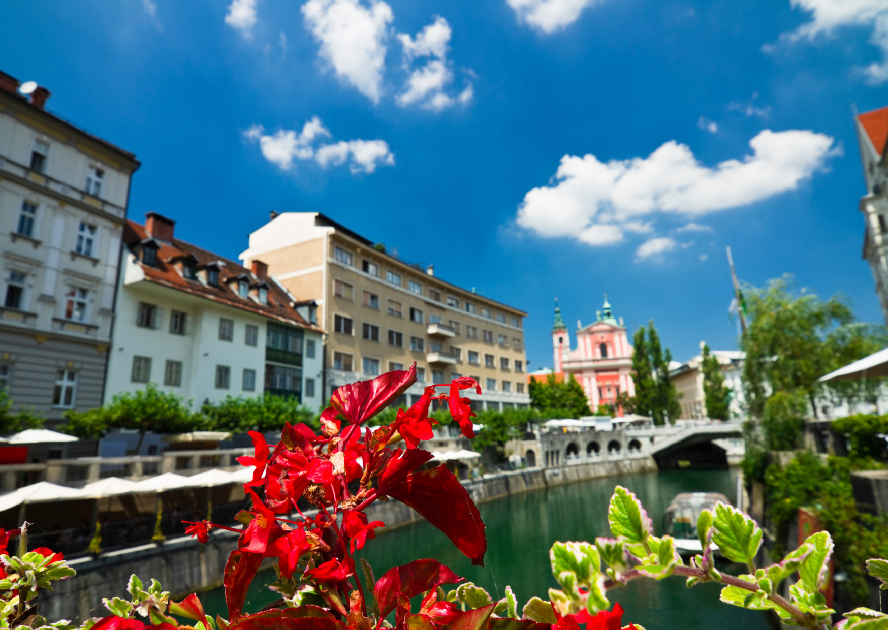 American Teacher’s Ljubljana Paycheck: Half the Money, Triple the Life 3 Ljubljana 4