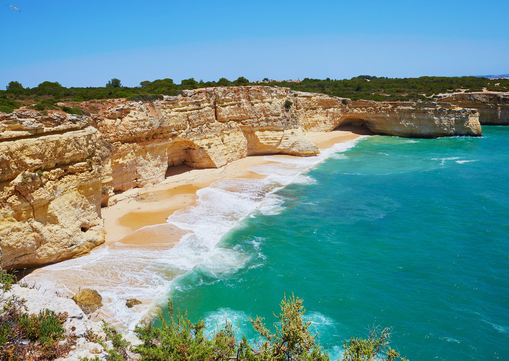 I’m 42 and Just Booked a “Scouting Trip” to Portugal 1 Portugal