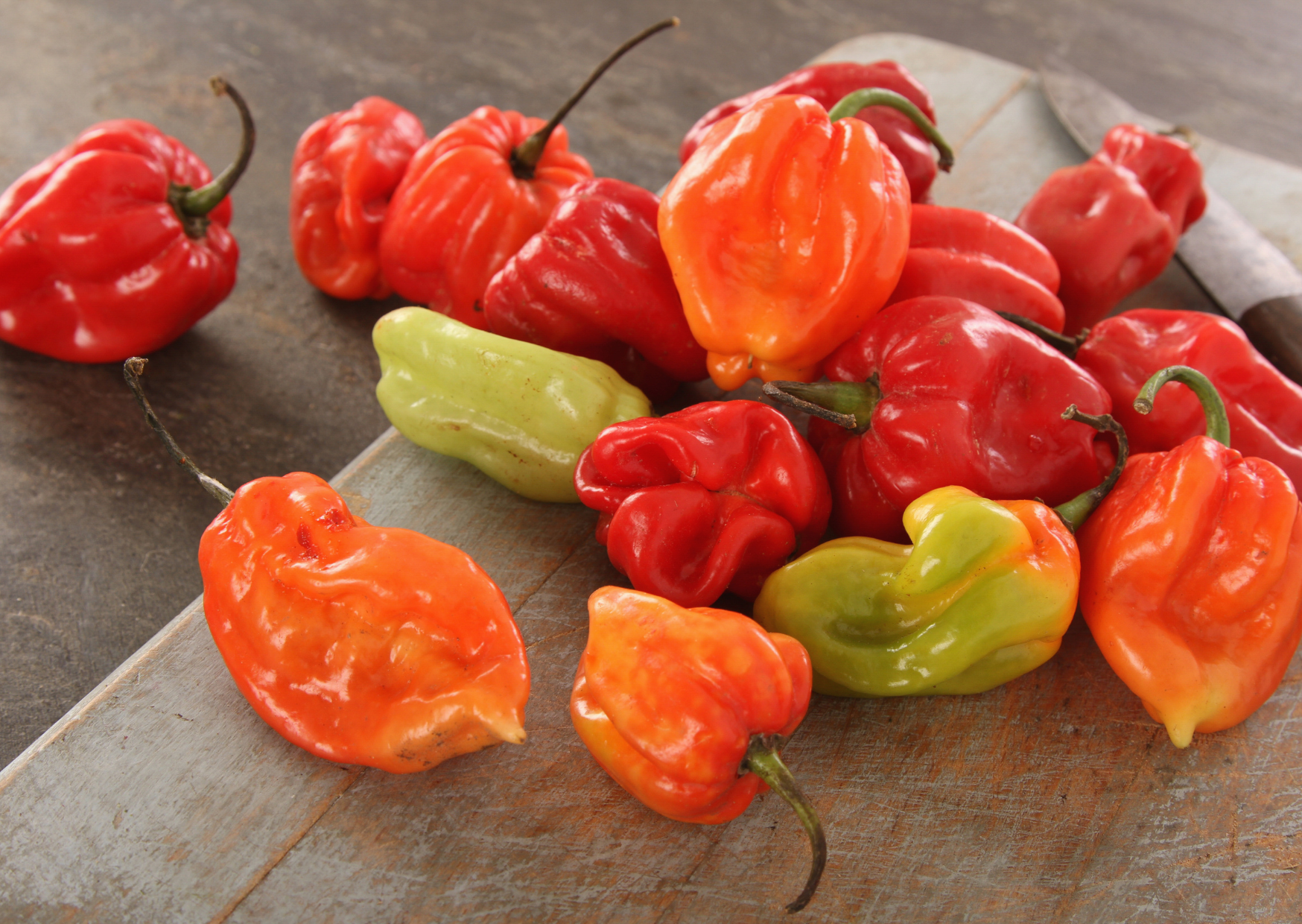 Scotch Bonnet 3