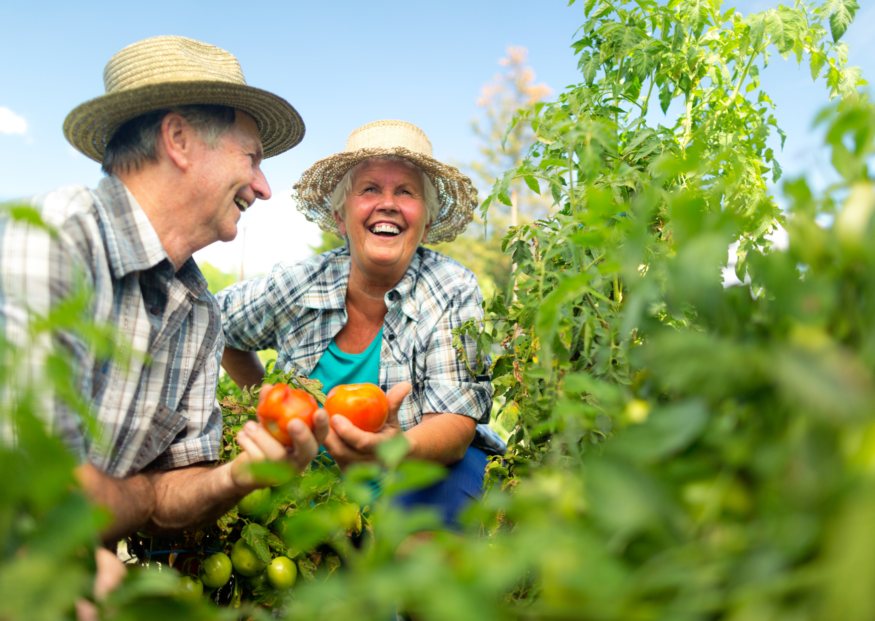 Social Clubs for Retirees in Spain 5