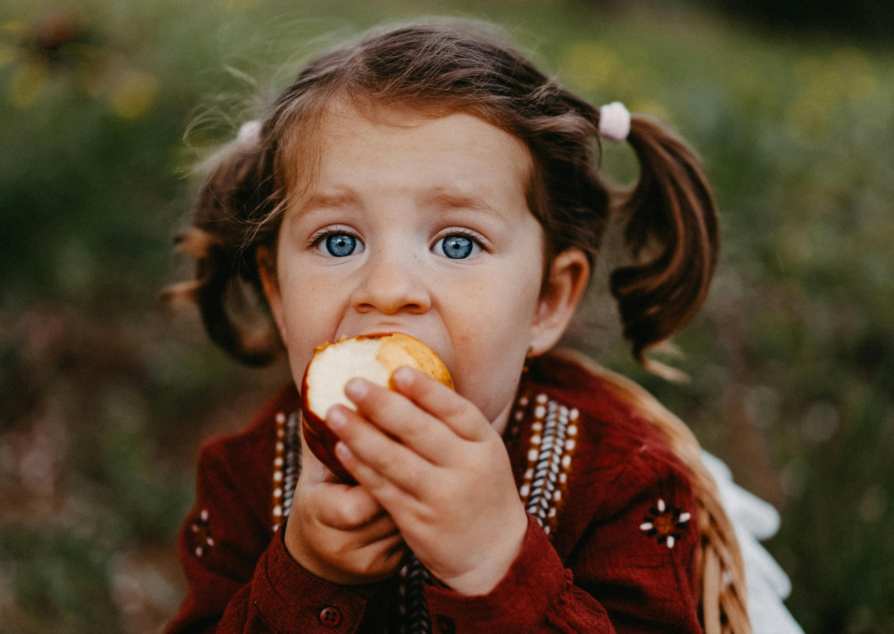 french 3 year olds 2