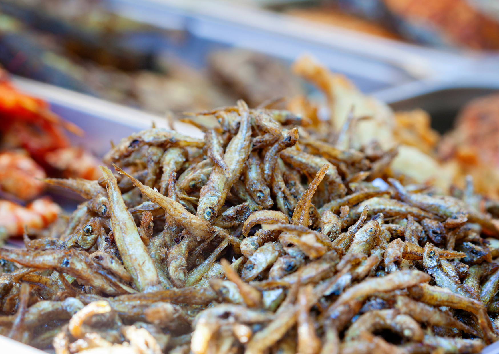 30 Days Eating Anchovies Like Spaniards - Inflammation Markers Plummeted 7 Spanish Anchovies