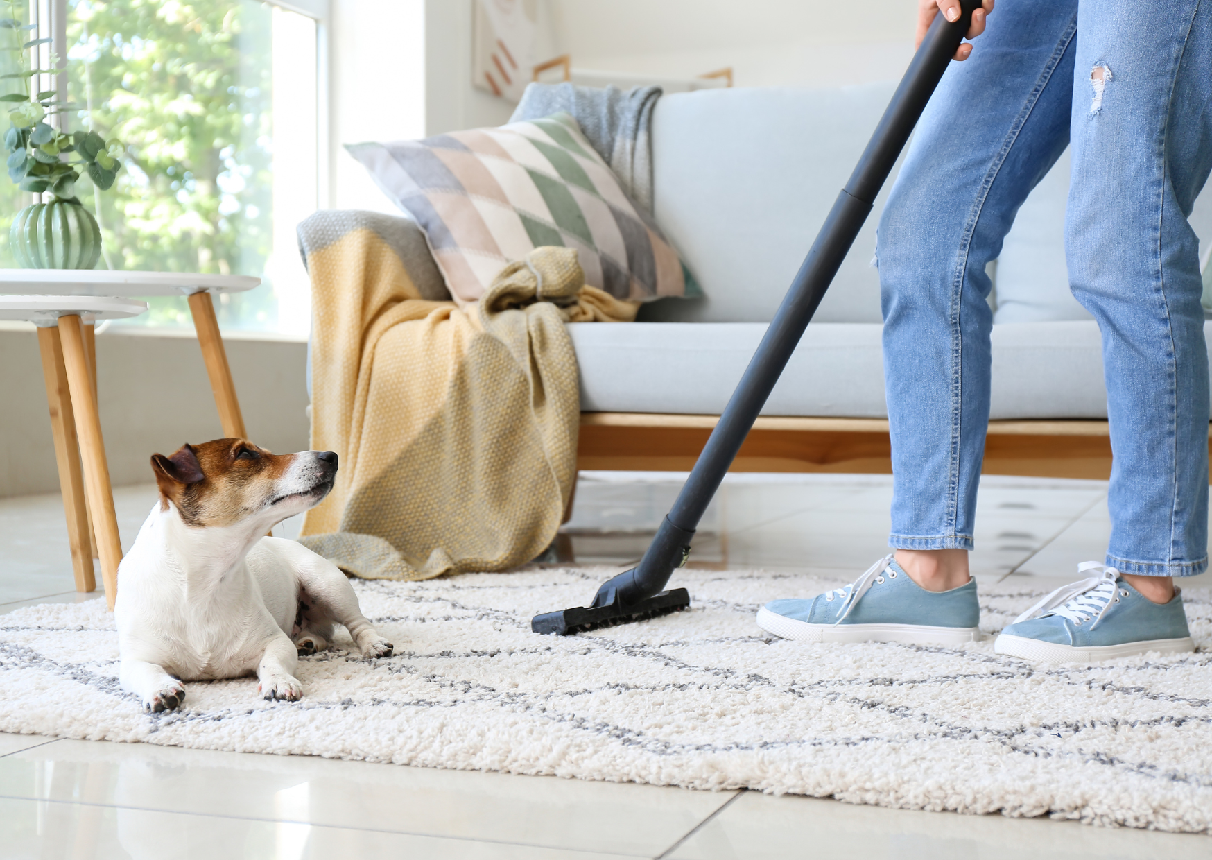 cleaning materials Europe 3