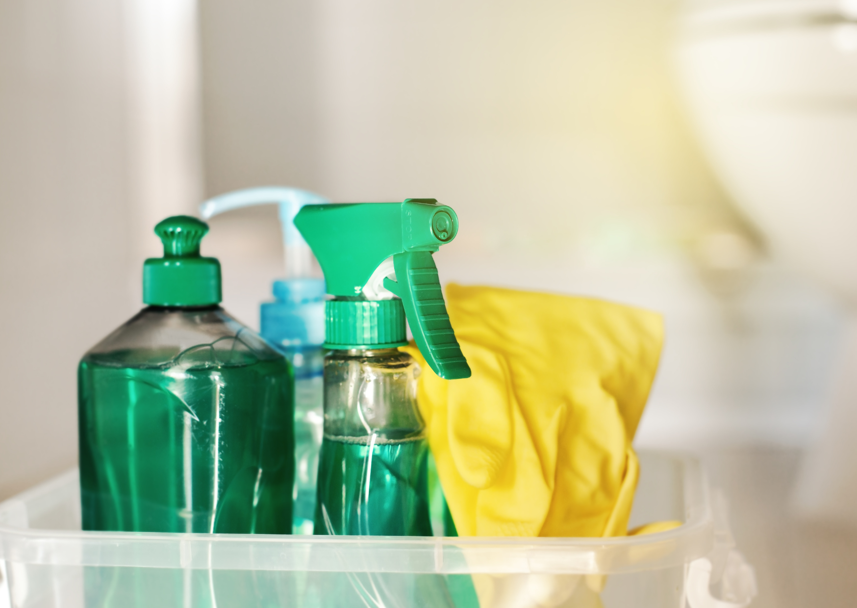 cleaning materials Europe 5