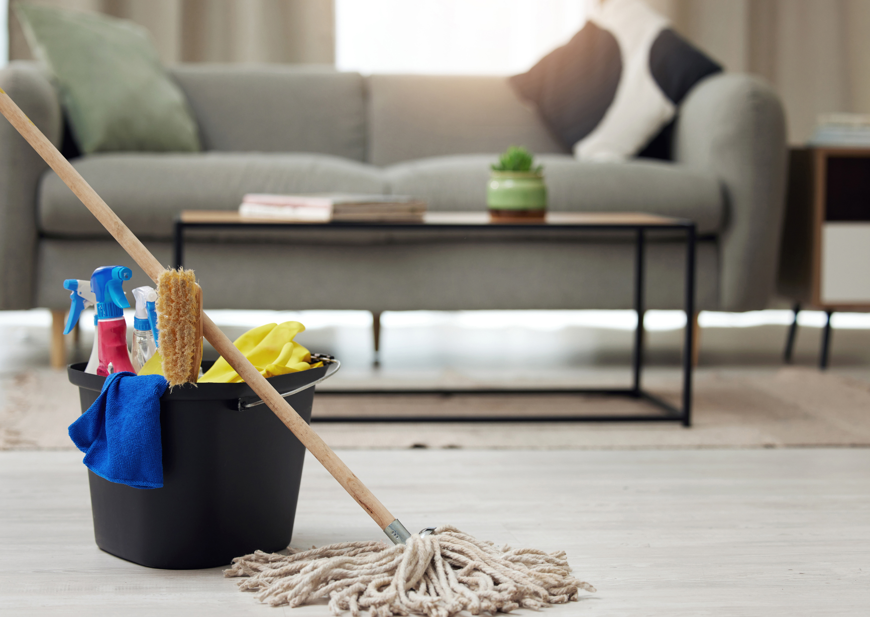 cleaning materials Europe 6