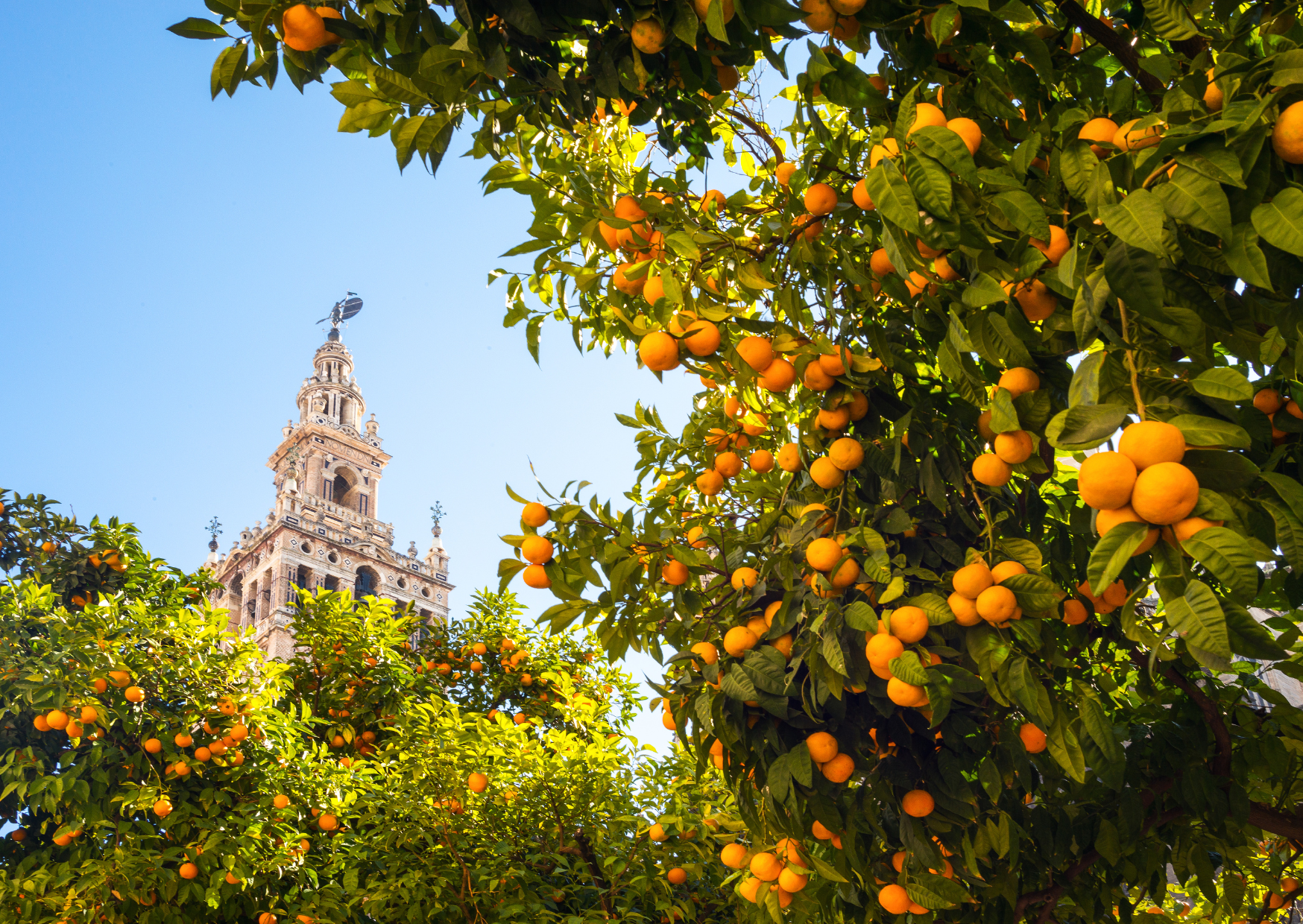 How Seville Is Hiring American Teachers In 2025 — Who Actually Earns Around €2,500/Month 4 seville 8